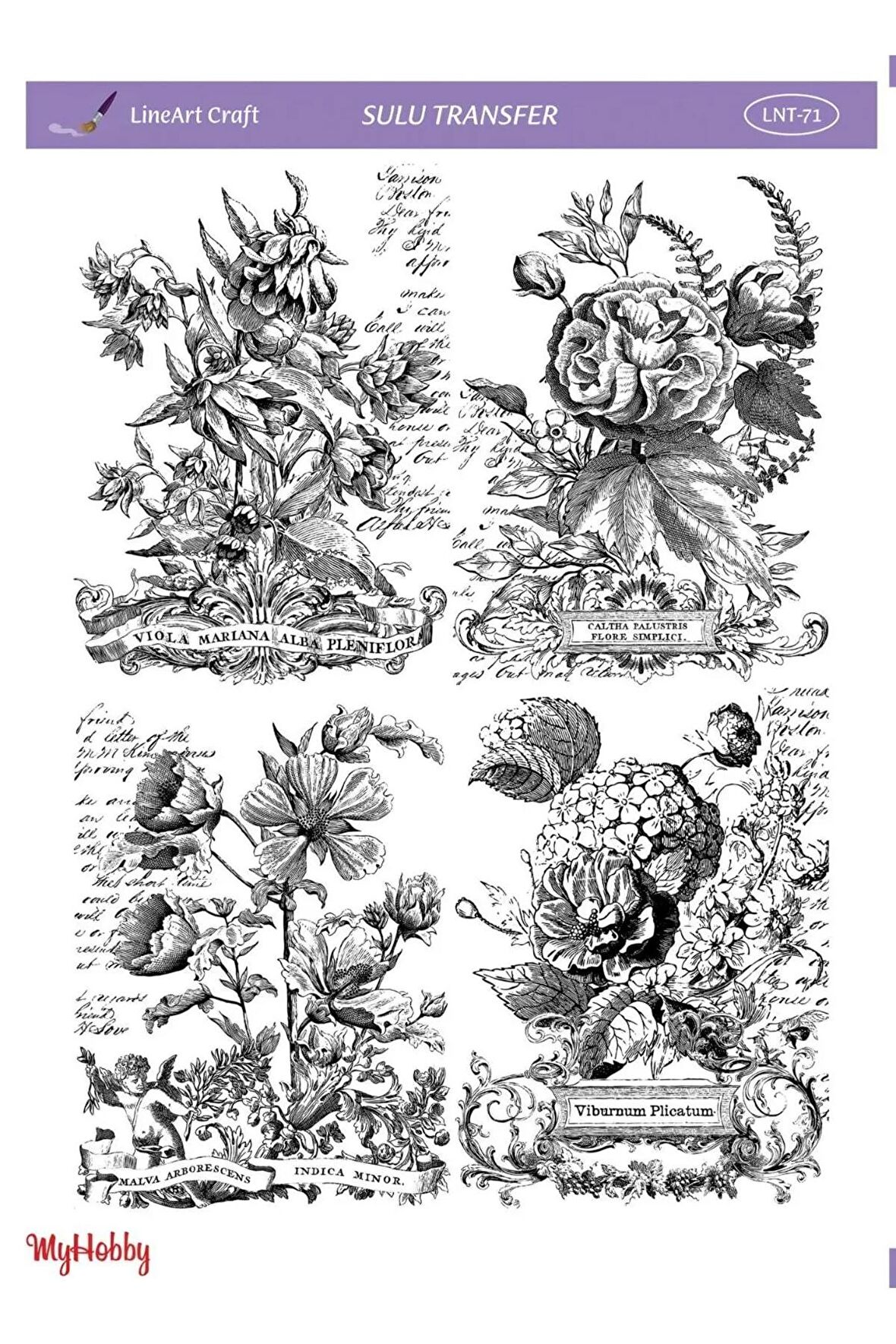 Lineart Çiçek Desenli Sulu Transfer Lnt-71 25x35