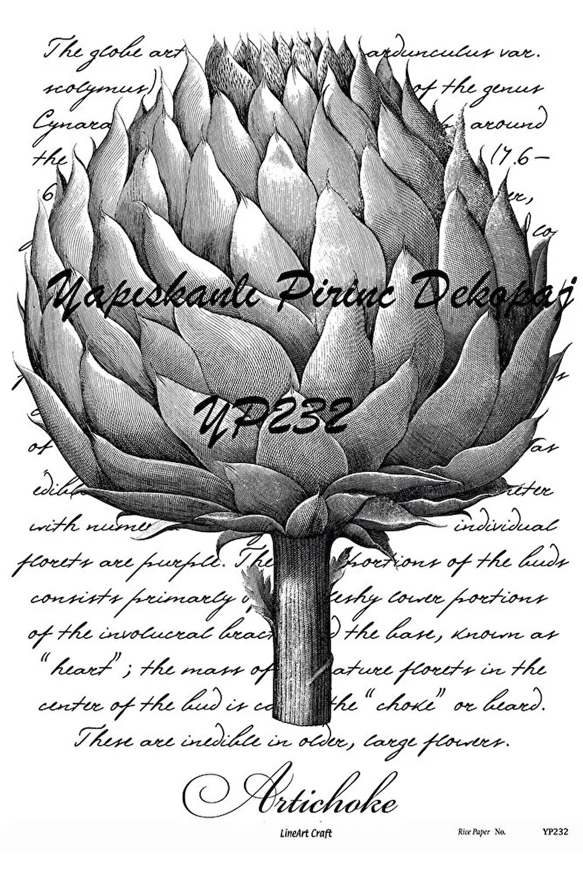 Yp232 Enginar, Artichoke Desenli Kendinden Yapışkanlı Pirinç Dekopaj 29*42