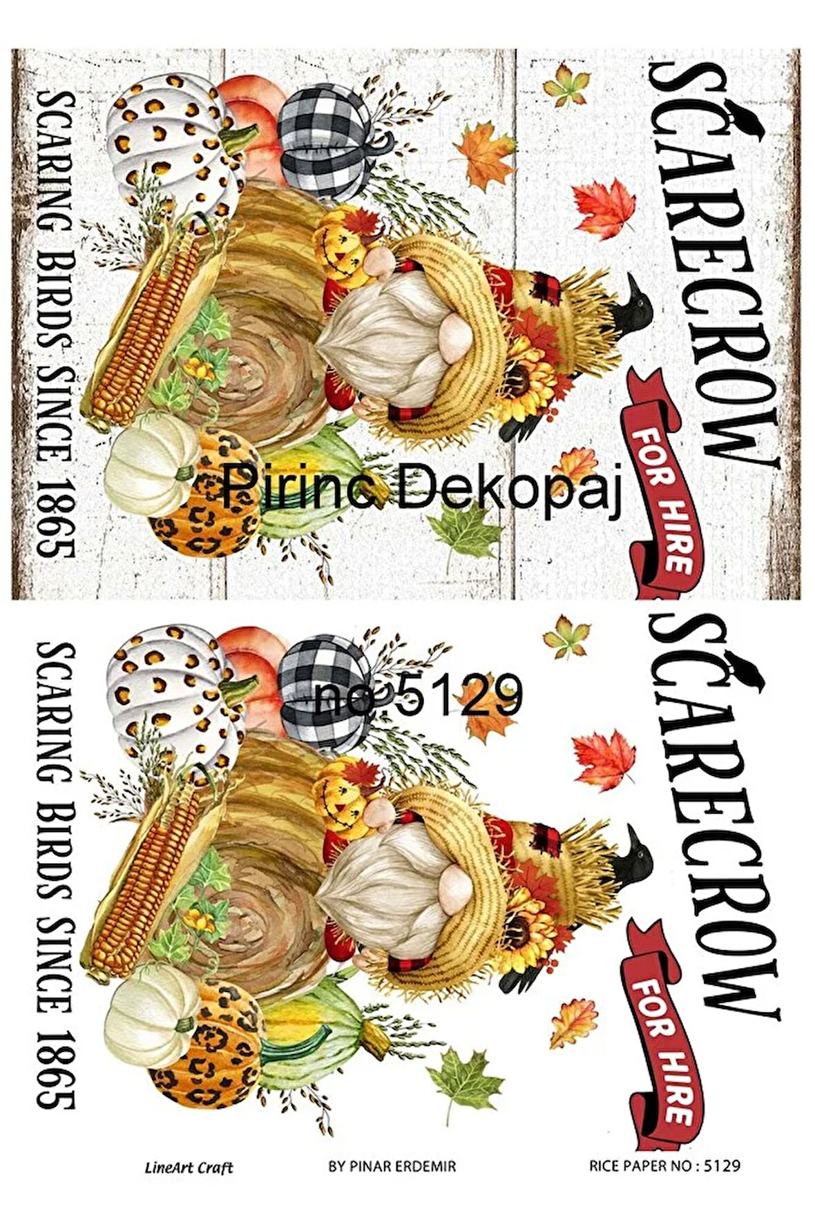 5129 Gnome, Sakallı Cüce, Kabak Desen Pirinç Dekopaj 30x42