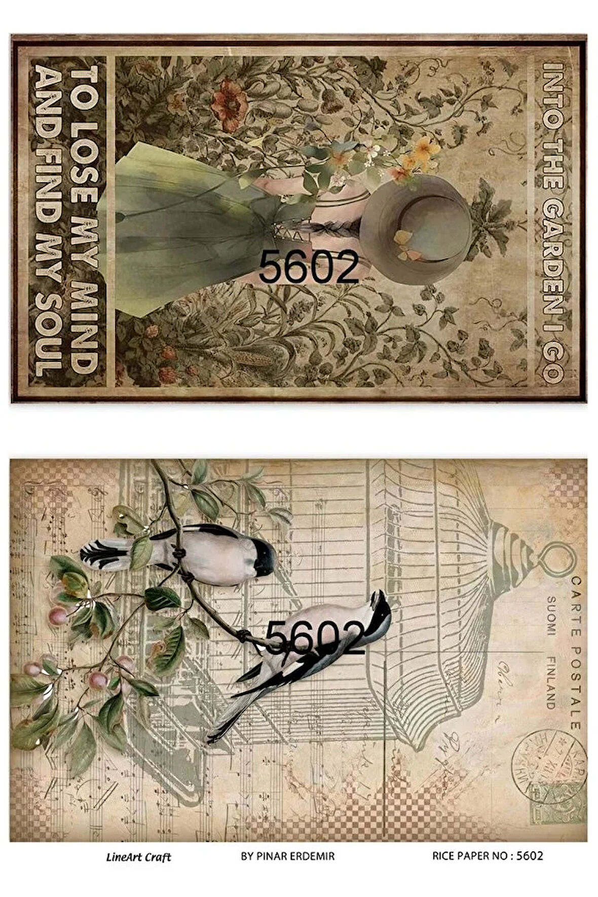 5602 Anne With "e", Kadın, Çiçek, Kelebek, Kitap Desenli Pirinç Dekopaj 30x42