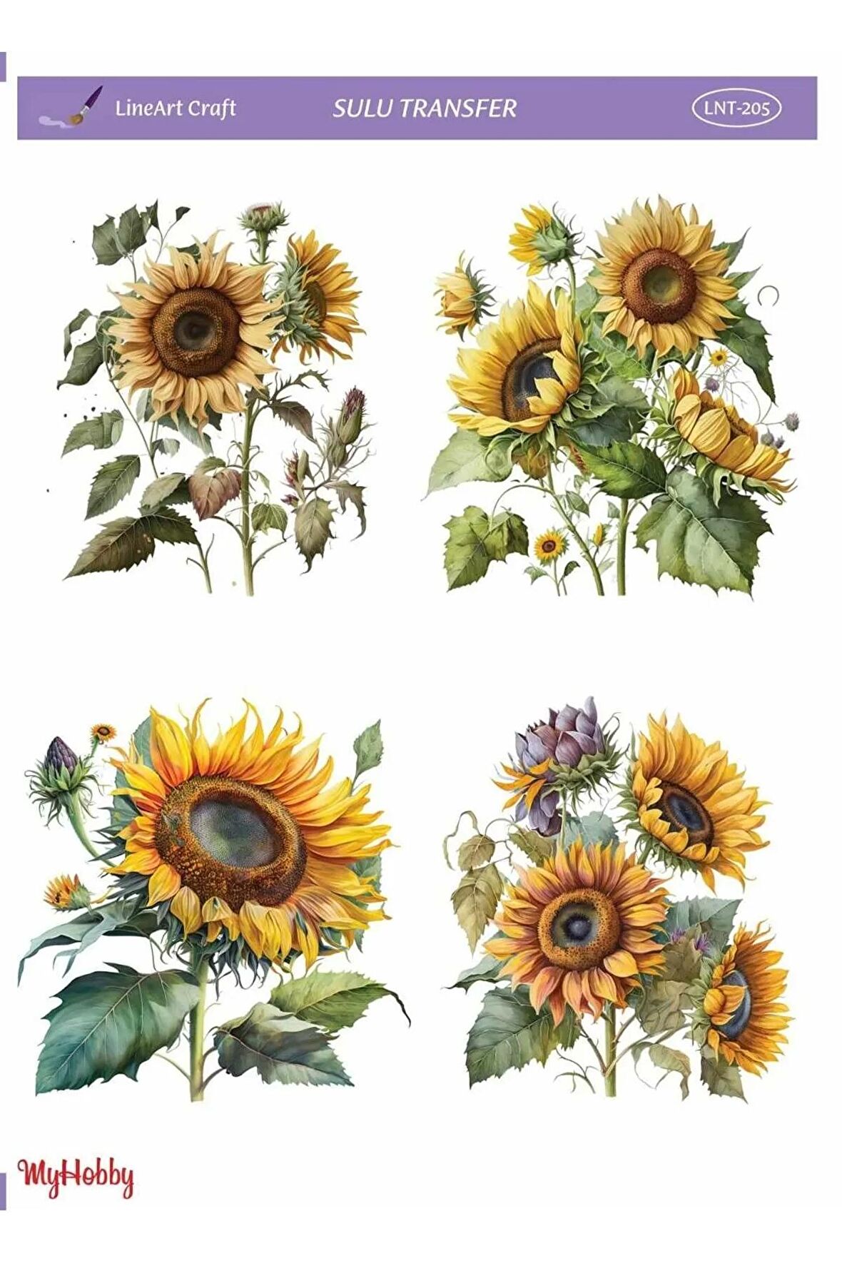 LineArt Ayçiçek Desenli Sulu Transfer LNT-205 25x35