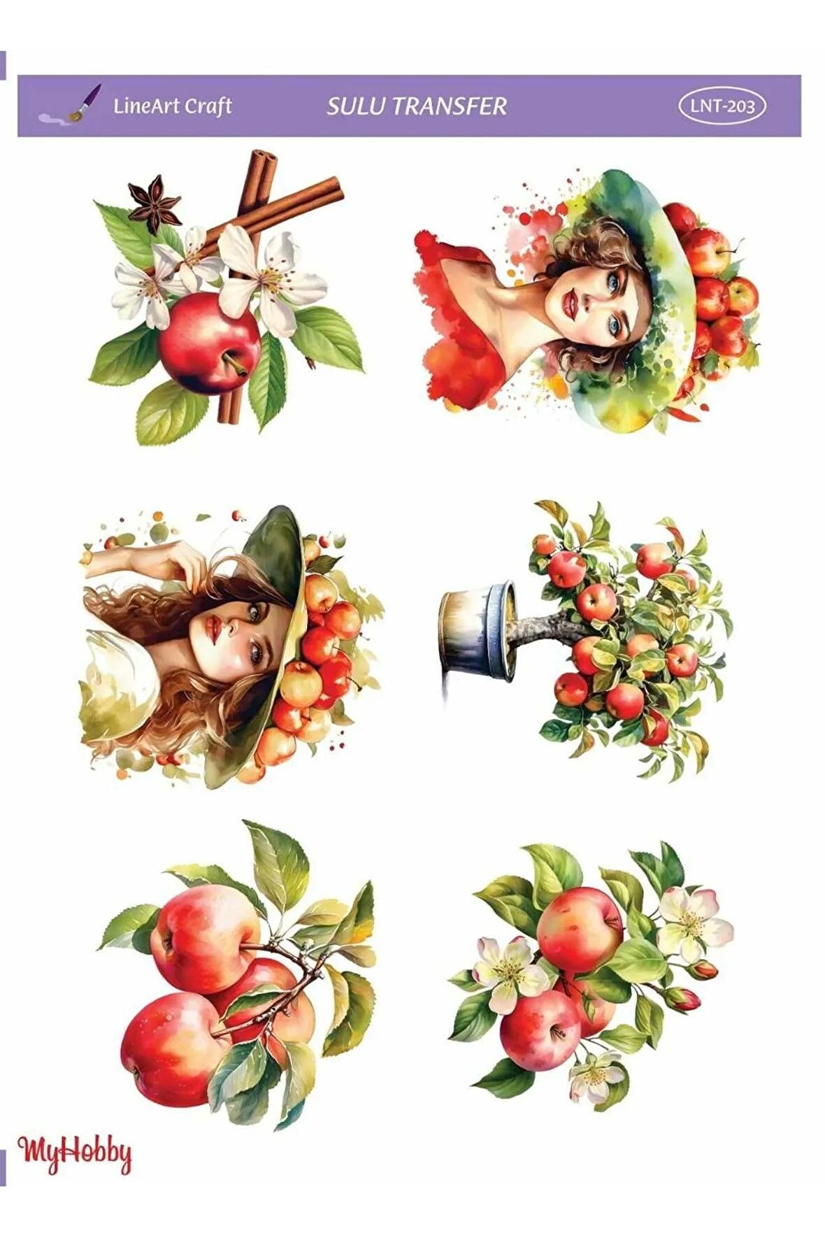 LineArt Elma, Tarçın, Kırmızı Desenli Sulu Transfer LNT-203 25x35