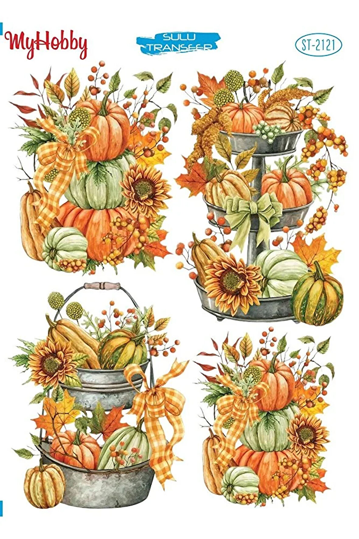 ST 2121 Çoklu Balkabağı, Pumpkin, Sulu Transfer 25x35