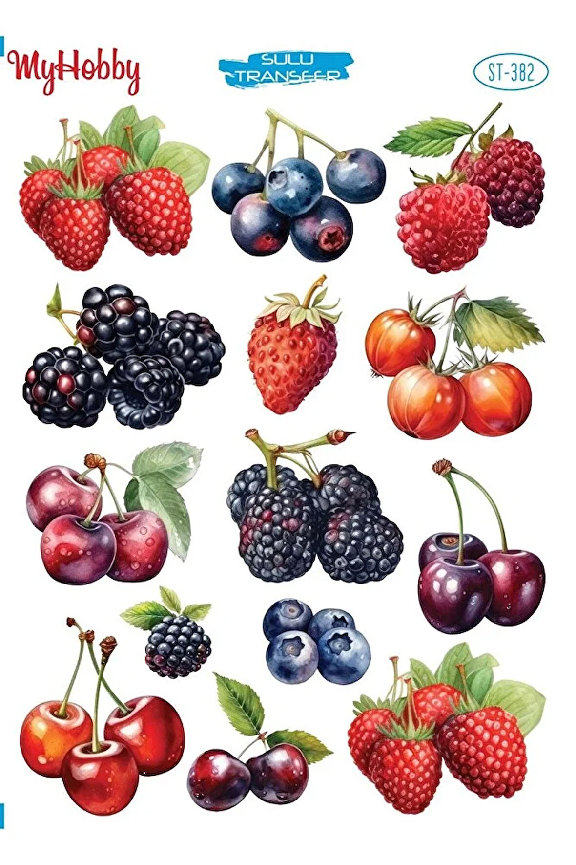 ST 382 Meyve, Çilek, Böğürtlen, KirazDesenli Sulu Transfer 25x35