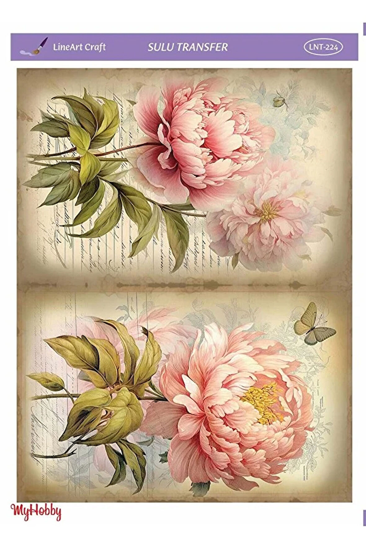 Renkli, Çiçek Desenli Sulu Transfer LNT-224 25x35