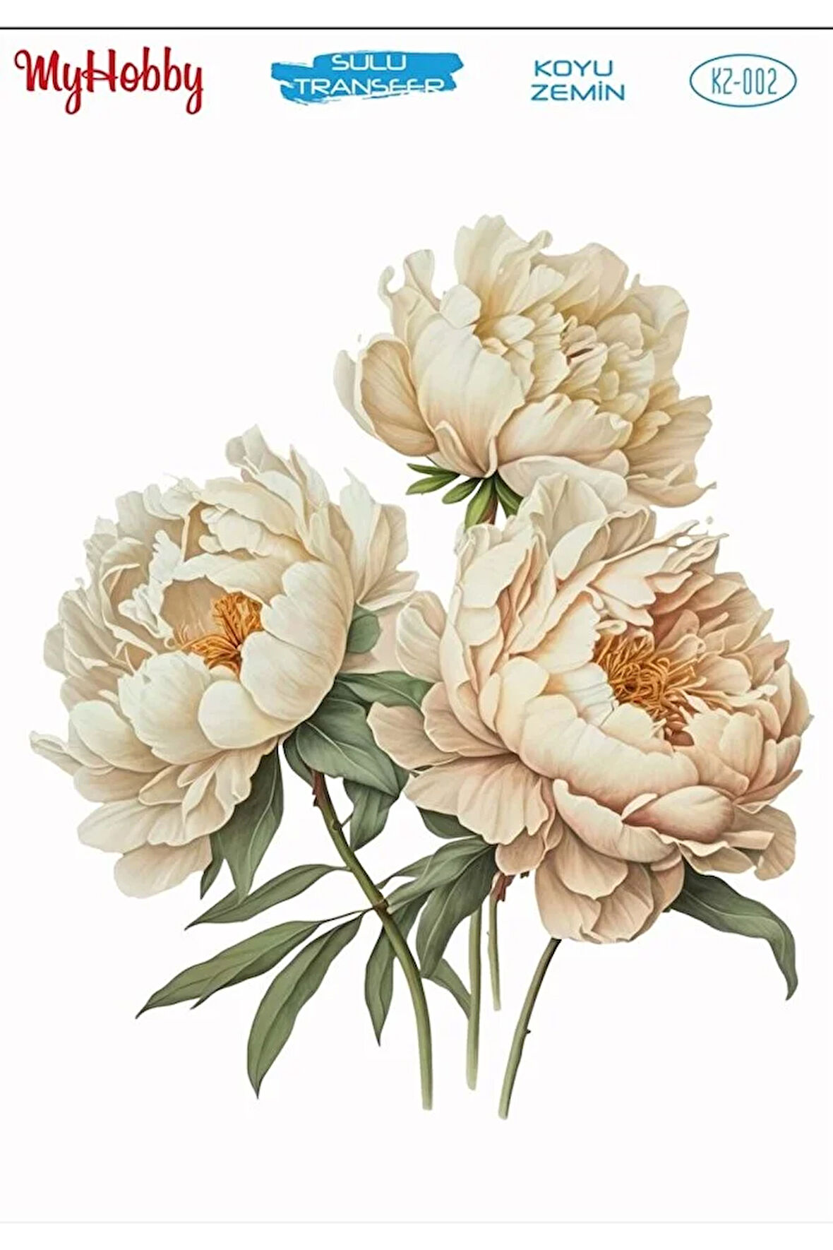 KZ002 Koyu Zemin Şakayık, Krem Renk Çiçek Desenli Sulu Transfer 25x35