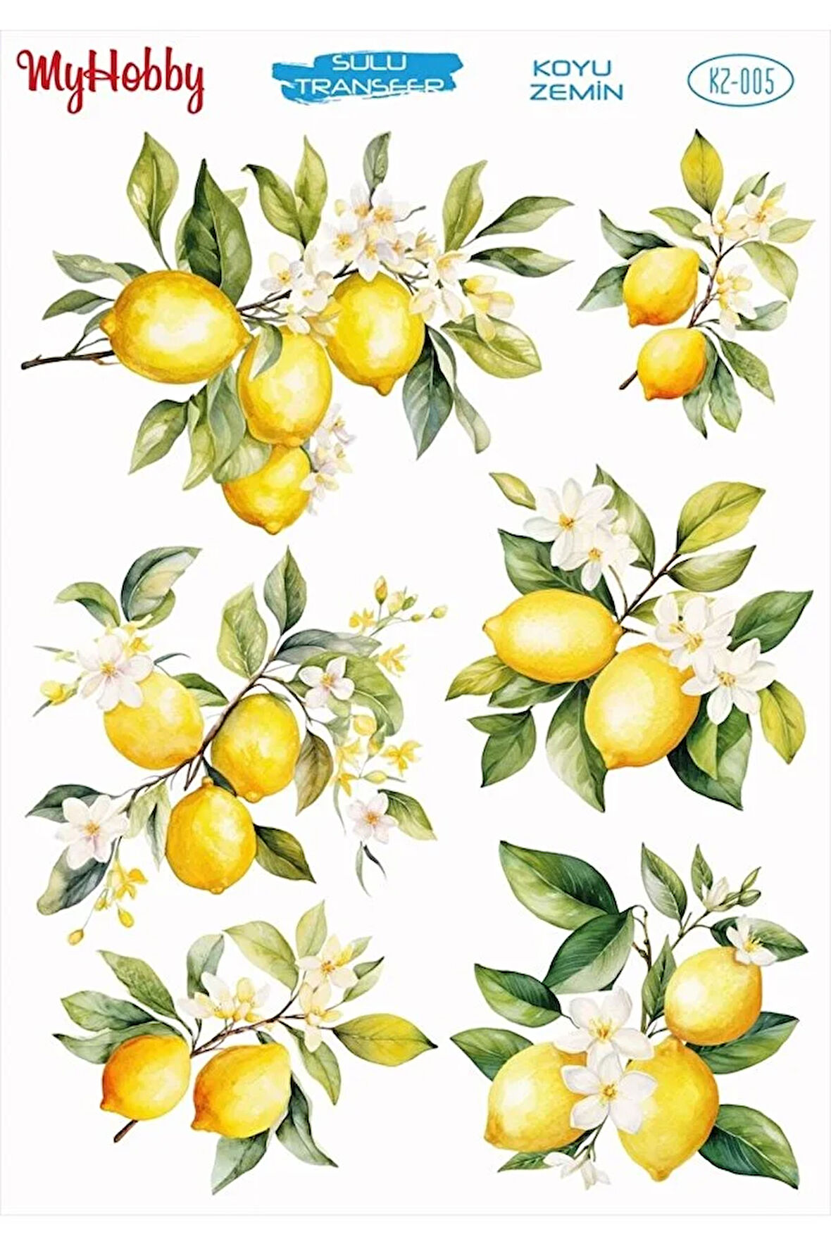 KZ005 Koyu Zemin Limon Desenli Sulu Transfer 25x35