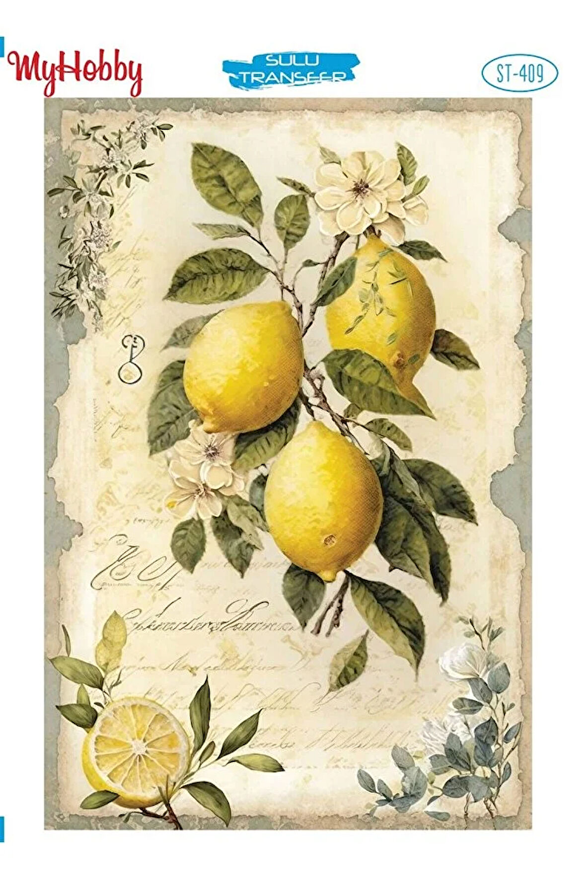 ST 409 Limon Desenli Sulu Transfer 25*35 cm