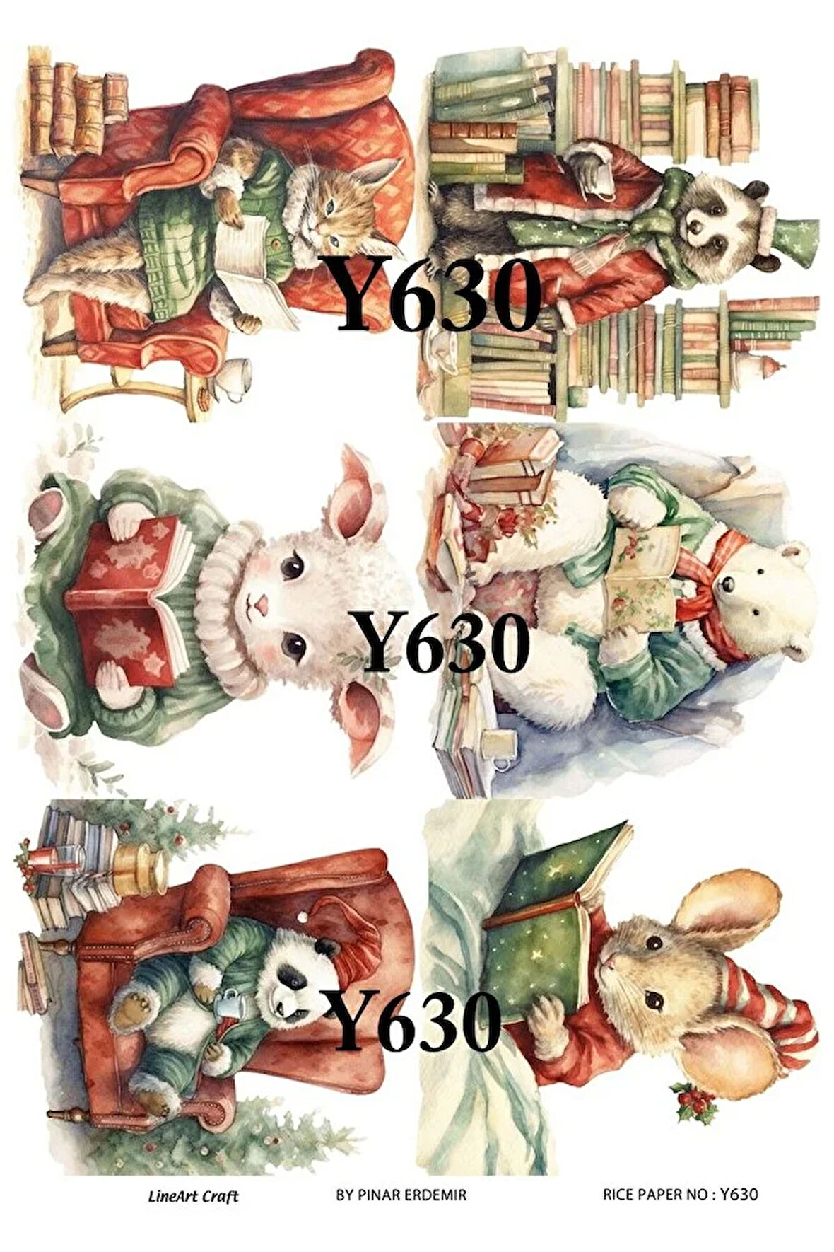 Y630 PirinÇ Dekopaj 30*42 cm