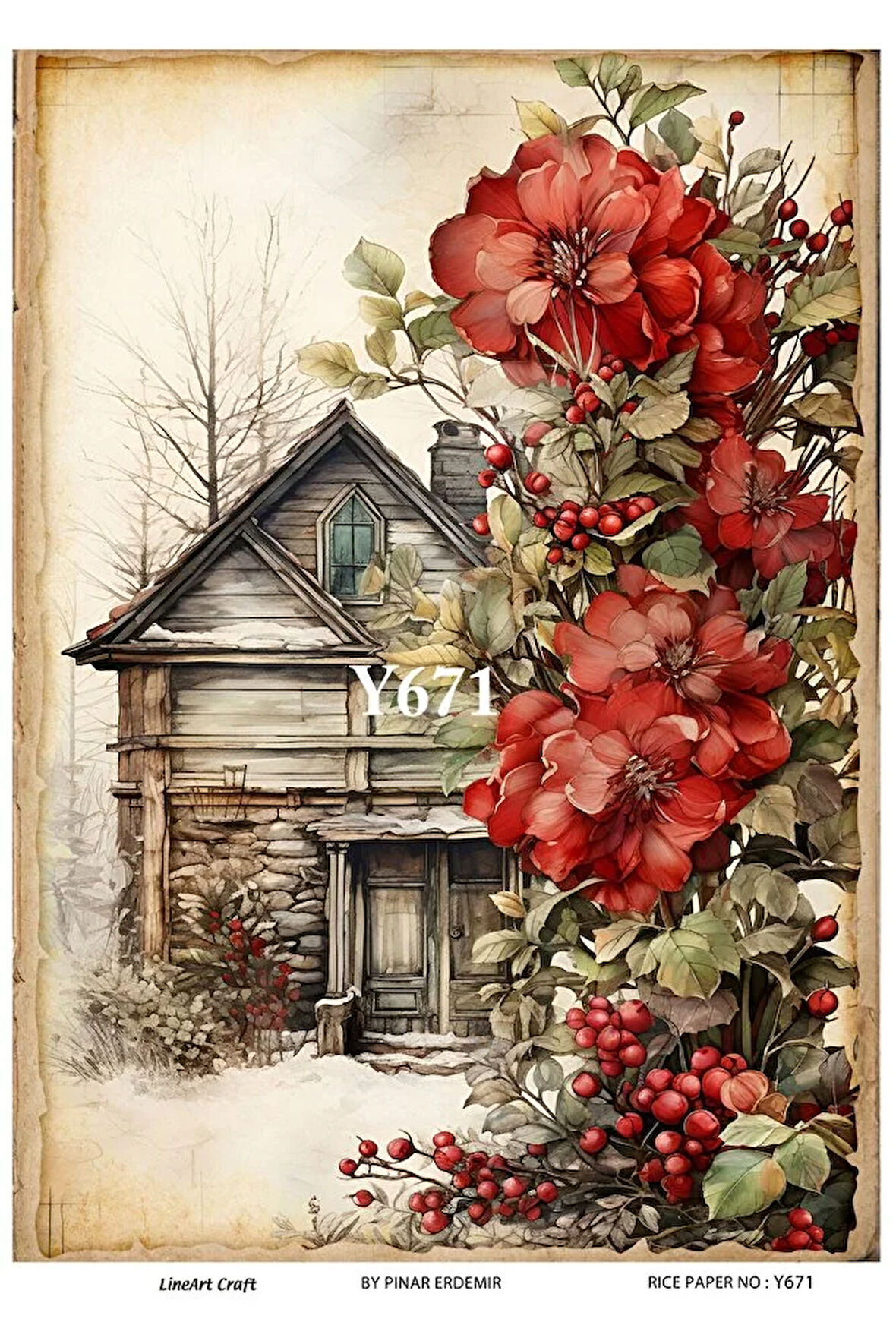 Y671 PirinÇ Dekopaj 30*42 cm