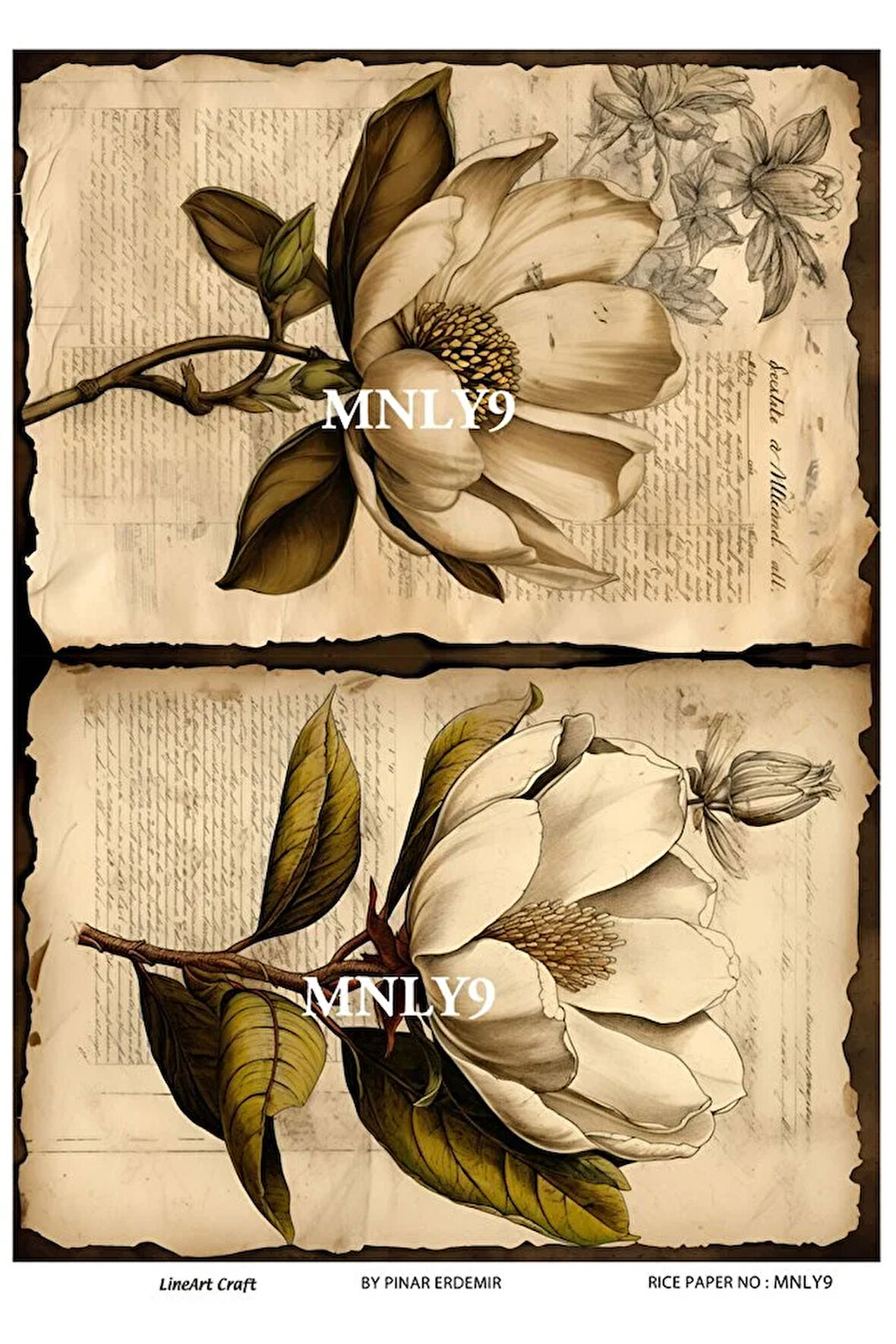 Manolya Serisi MNLY9 Pirinç Dekopaj 30*42 cm