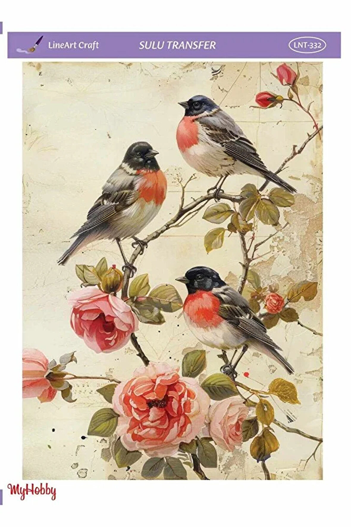 LNT332 Sulu Transfer 25 * 35 cm