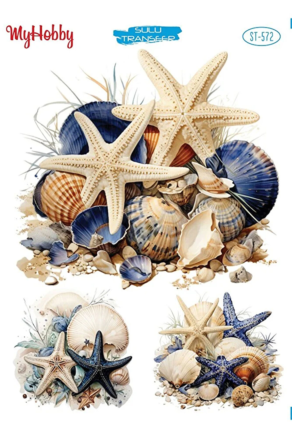 ST572 Deniz Yıldızı, Deniz Kabuğu, Marine Desen Açık Zemin Sulu Transfer 25*35 cm