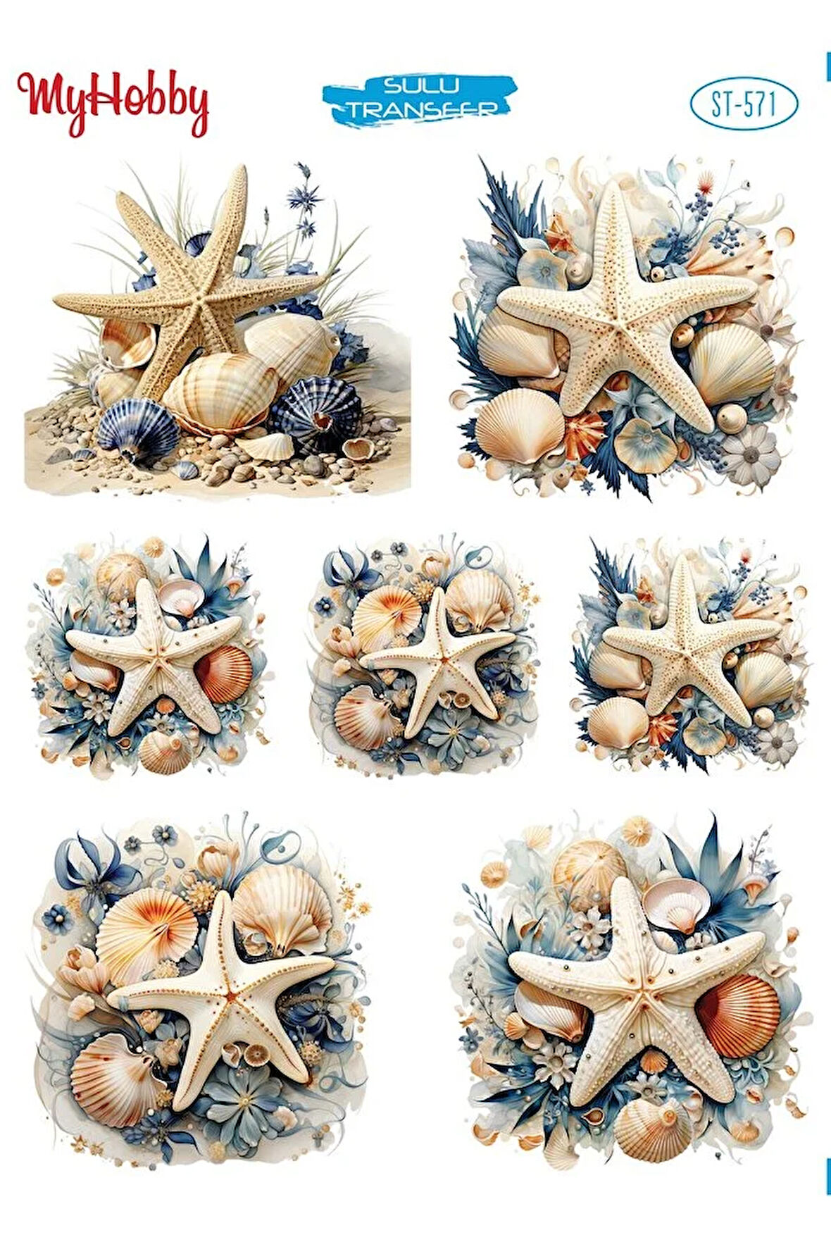 ST571 Deniz Yıldızı, Deniz Kabuğu, Marine Desen Açık Zemin Sulu Transfer 25*35 cm