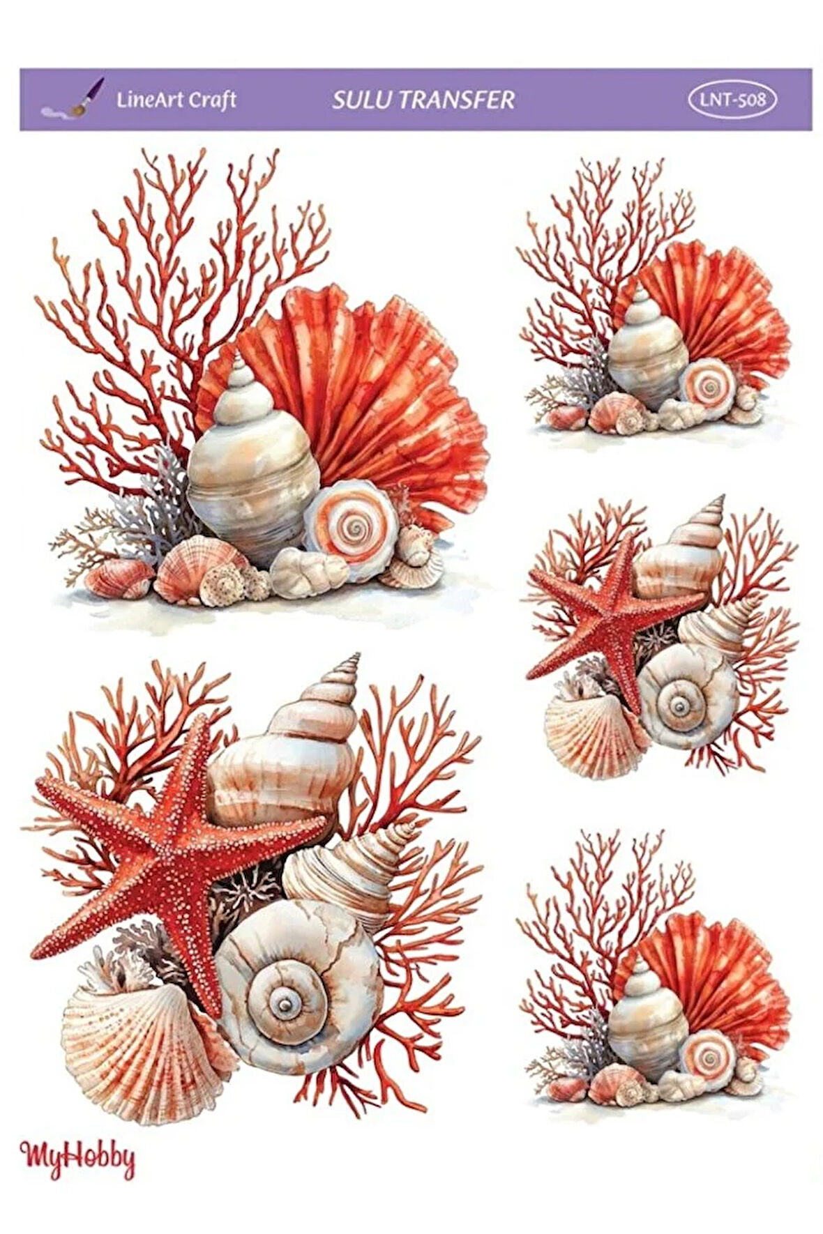 LNT508 Marine Desen, Deniz Kabukları, Mercan Açık Zemin Sulu Transfer 25*35 cm