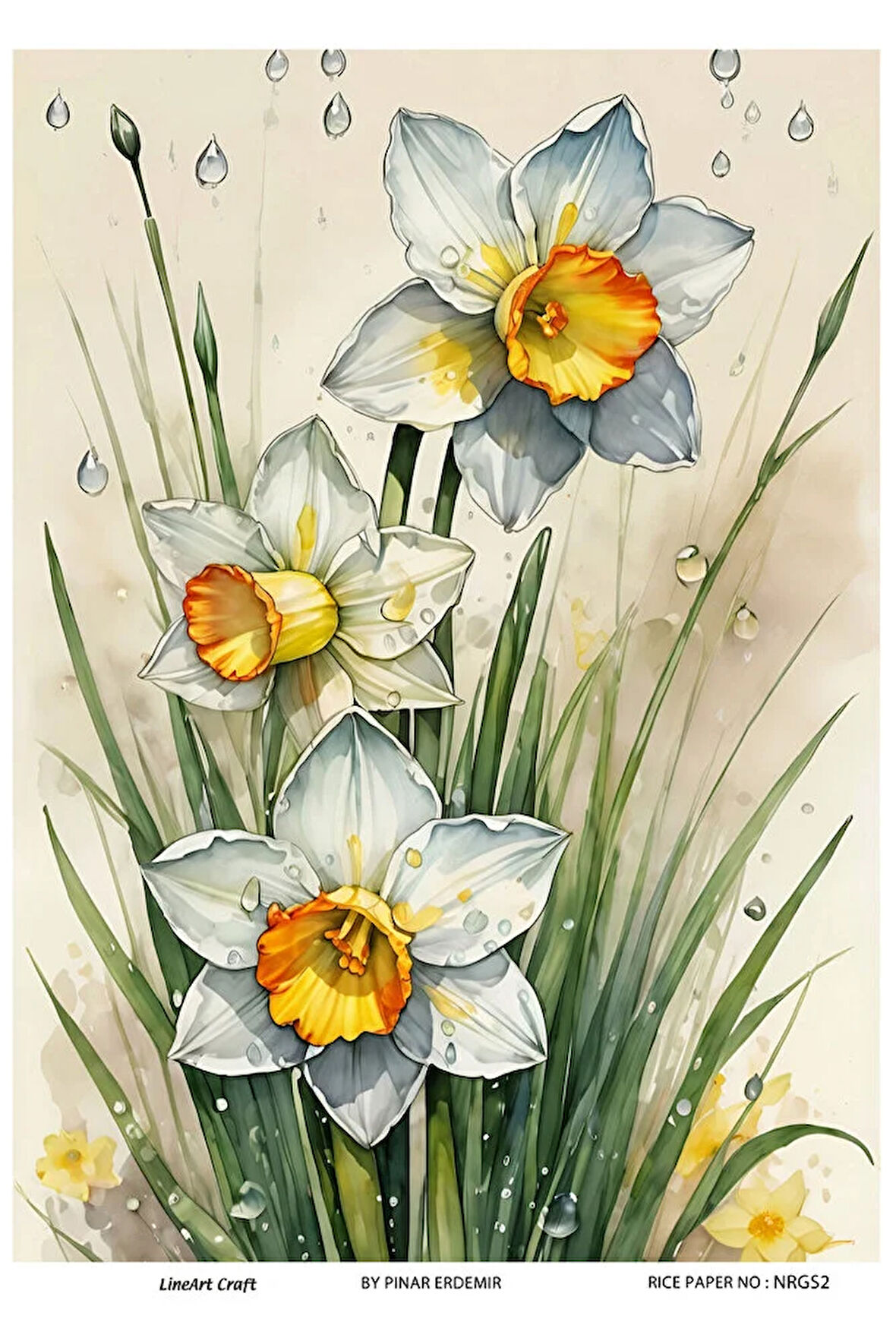 Nergis Serisi NRGS2 Nergis Desenli 29*42 cm Pirinç Dekopaj