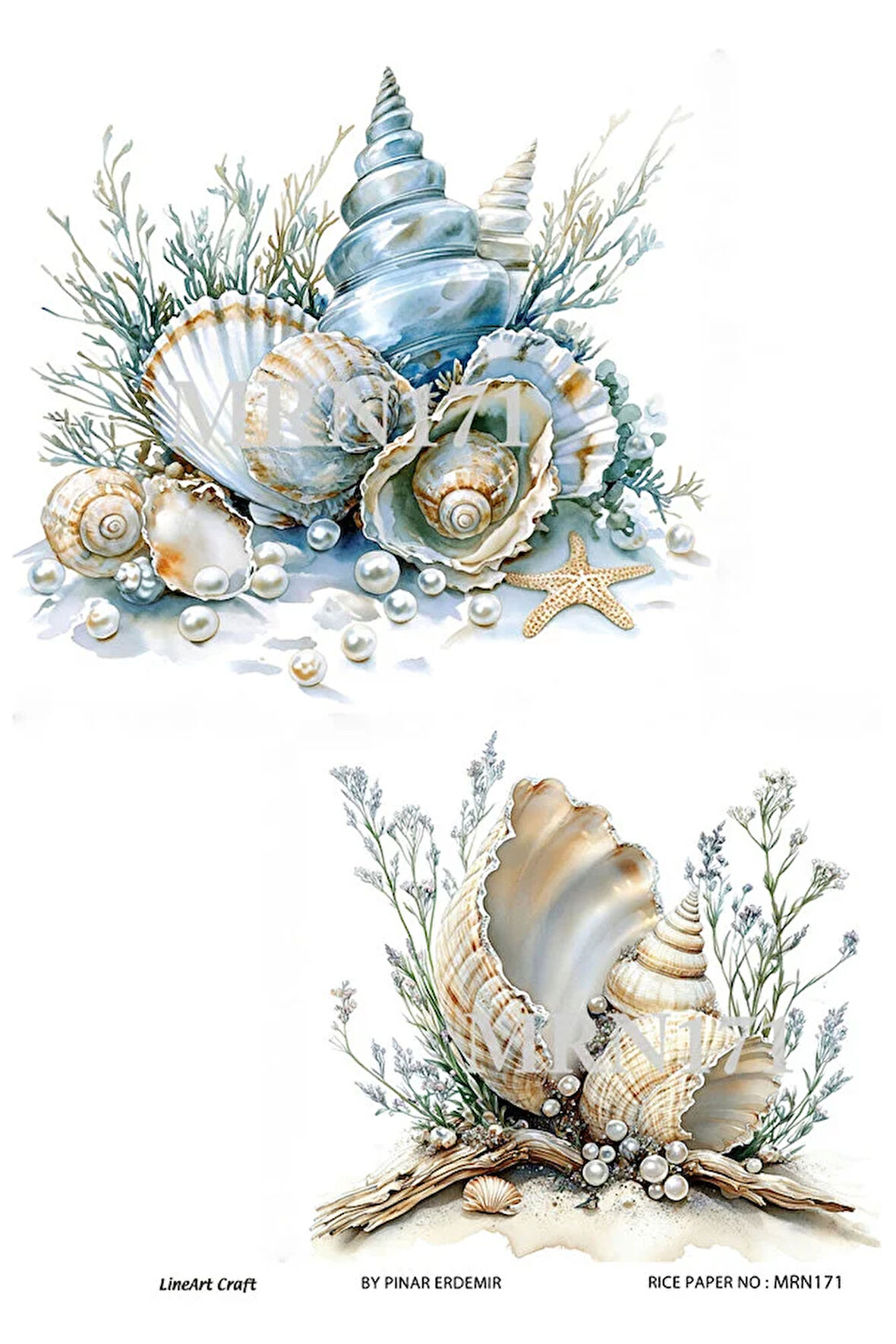 Marine Serisi MRN171 Deniz Kabukları Desenli 29*42 cm Pirinç Dekopaj
