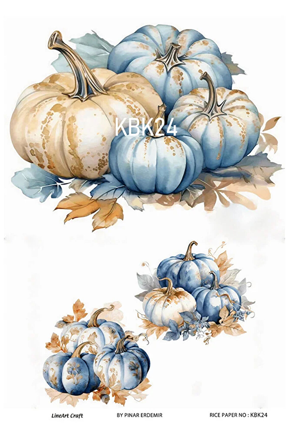 Kabak Serisi Halloween, Kabak, Pumpkin KBK24 Pirinç Dekopaj 30*42 cm