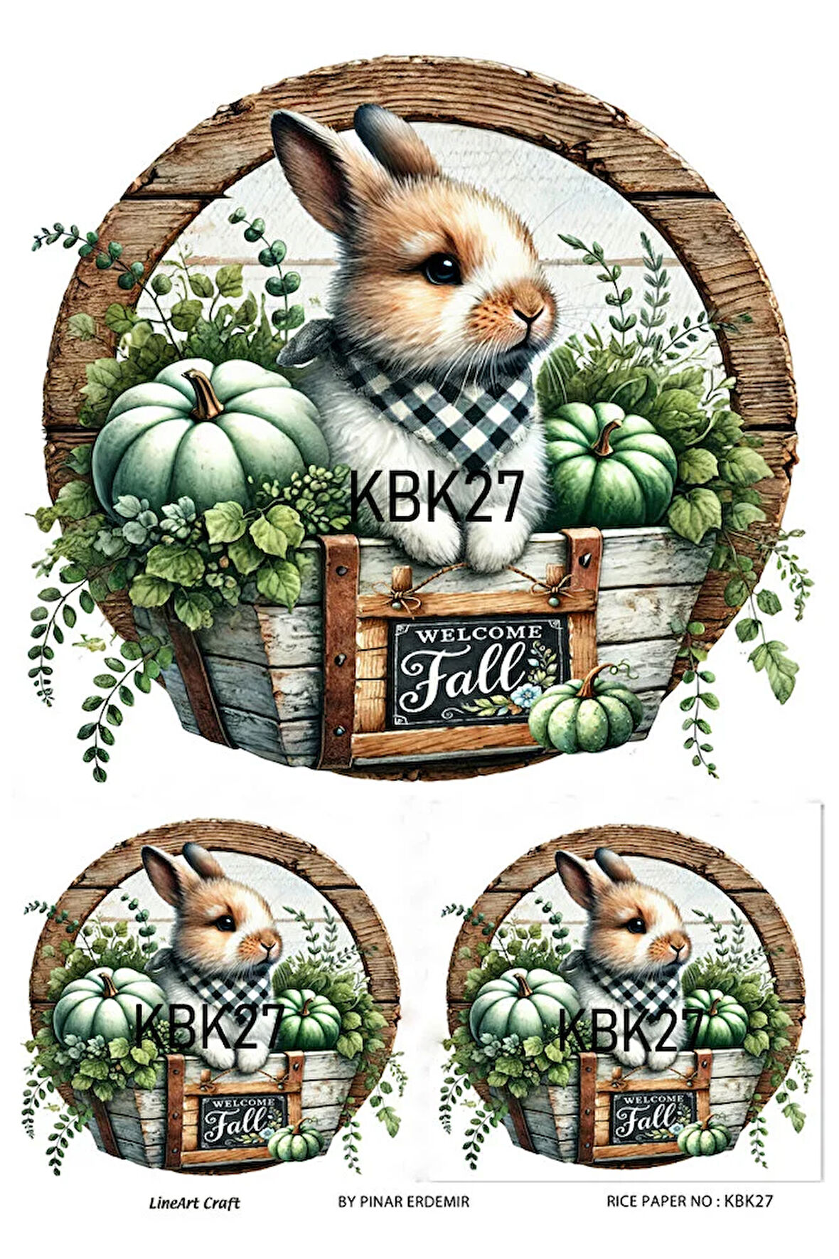 Kabak Serisi Halloween, Kabak, Pumpkin KBK27 Pirinç Dekopaj 30*42 cm