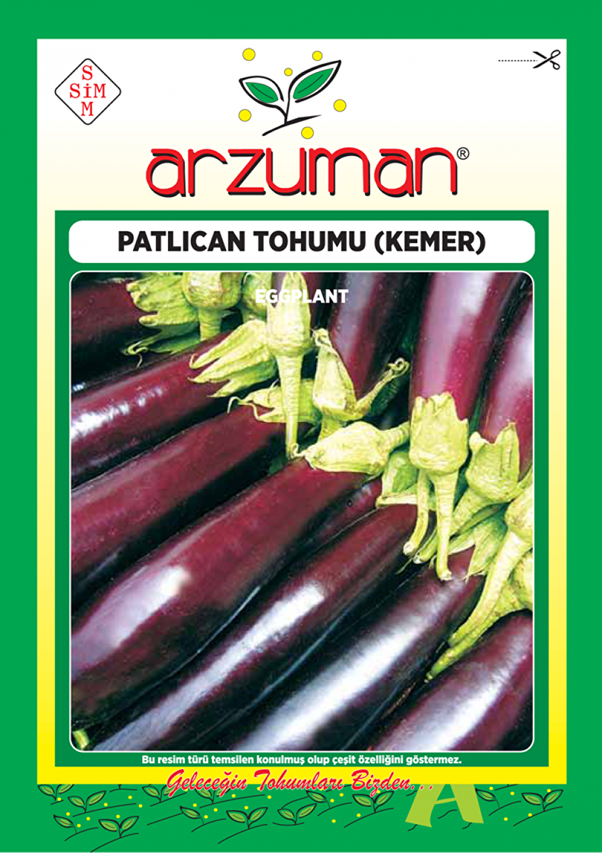 KEMER PATLICAN TOHUMU 10 GR ORT 2000 AD TOHUM