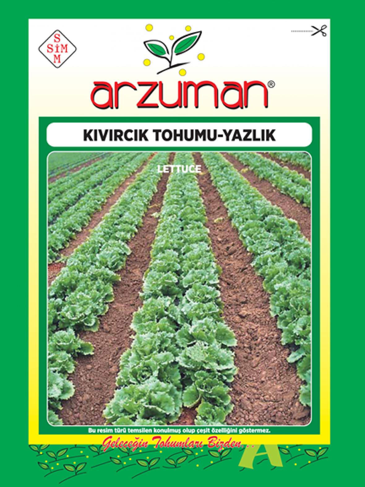 YAZLIK KIVIRCIK MARUL TOHUMU 10 GR ORT 7500 AD TOHUM