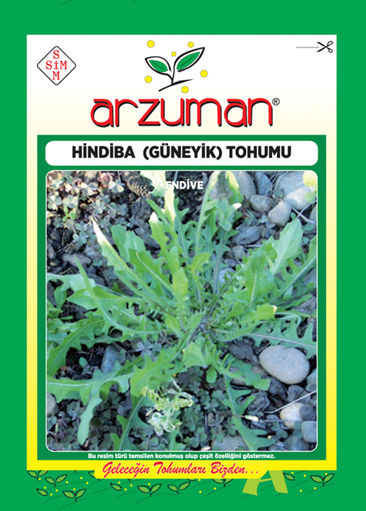 HİNDİBA (GÜYENİK) ACI MARUL TOHUMU 5 GR