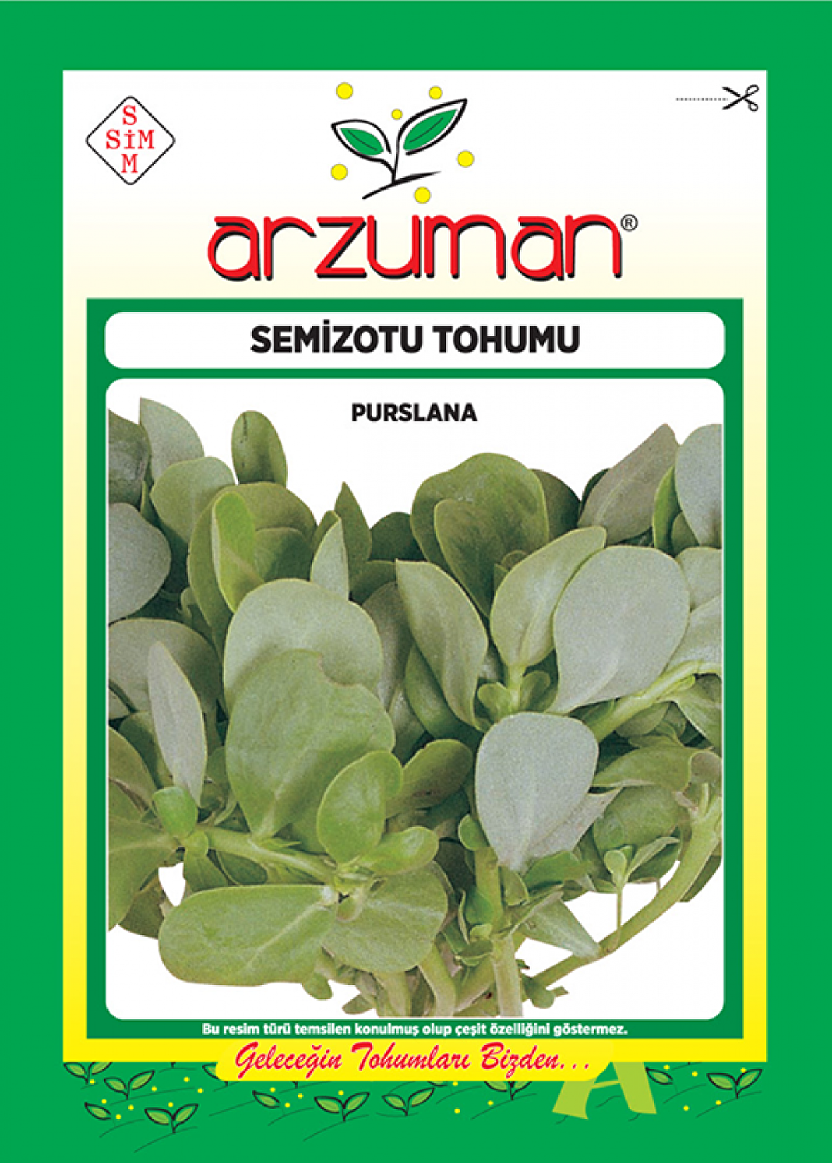 SEMİZOTU TOHUMU 10 GR ORT 4000 AD TOHUM