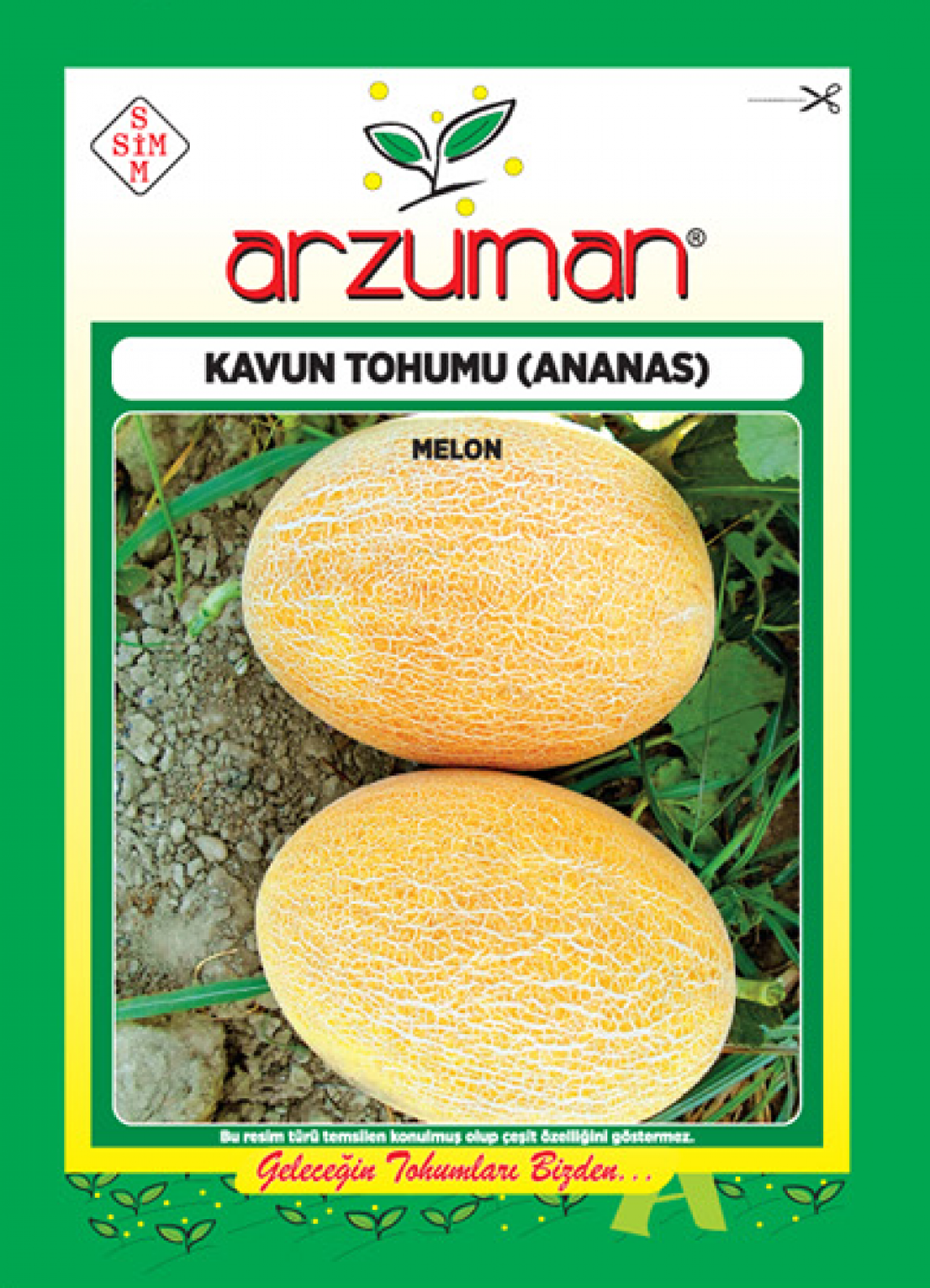 ANANAS KAVUN TOHUMU 10 GR ORT 200 AD TOHUM