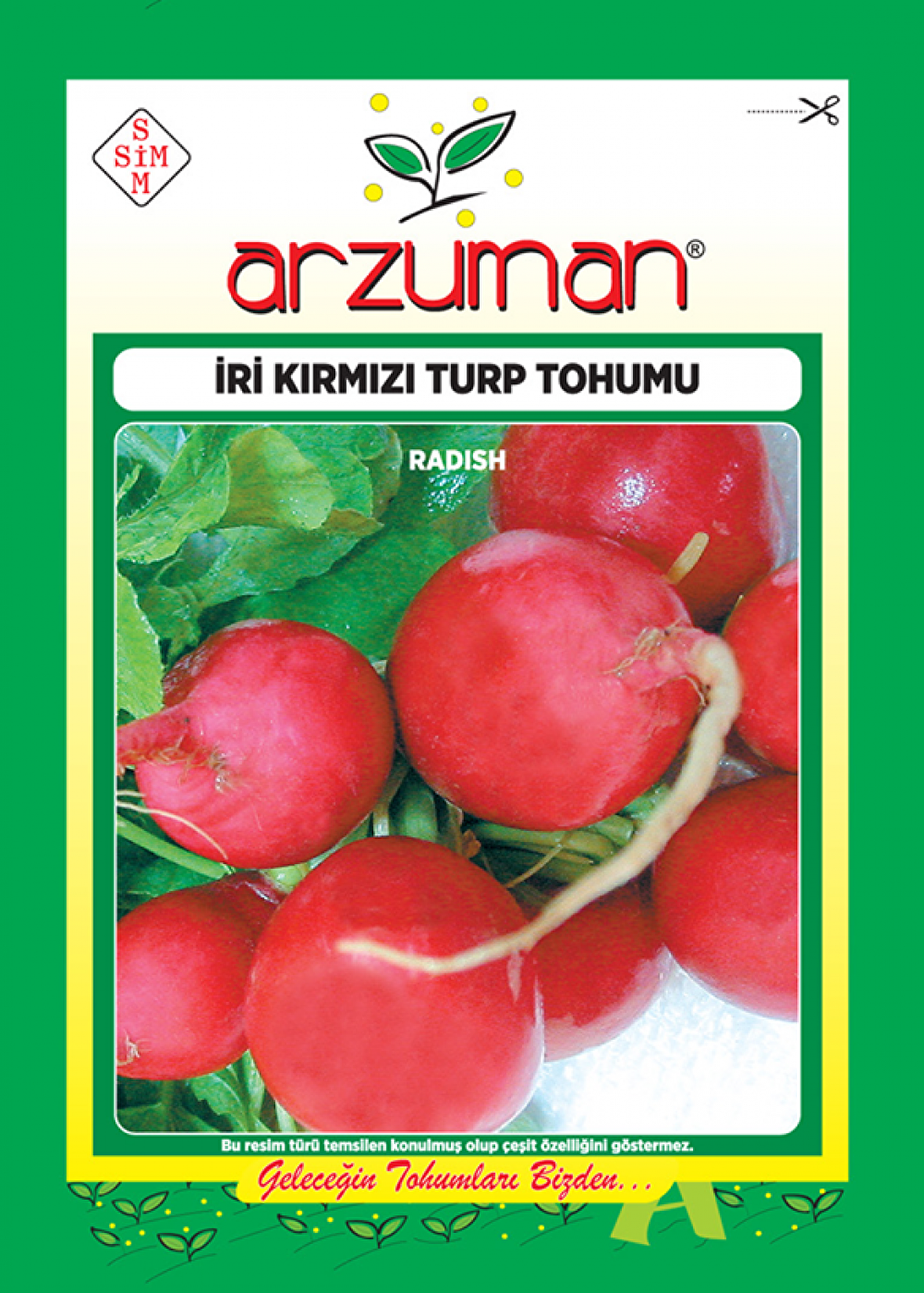 İRİ KIRMIZI TURP TOHUMU 25 GR ORT 2250 AD TOHUM