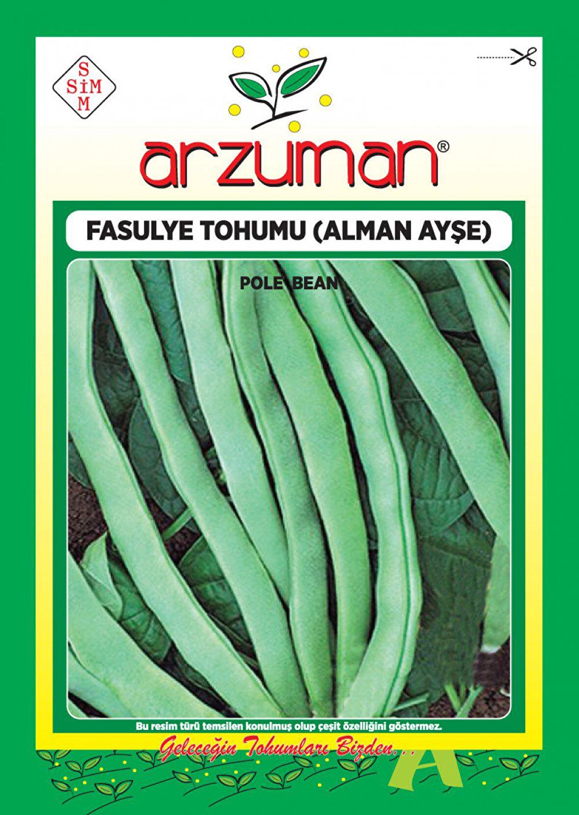 ALMAN AYŞE SIRIK FASULYE TOHUMU 50 GR