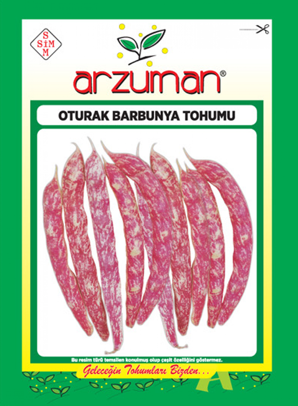 OTURAK BARBUNYA TOHUMU 50 GR