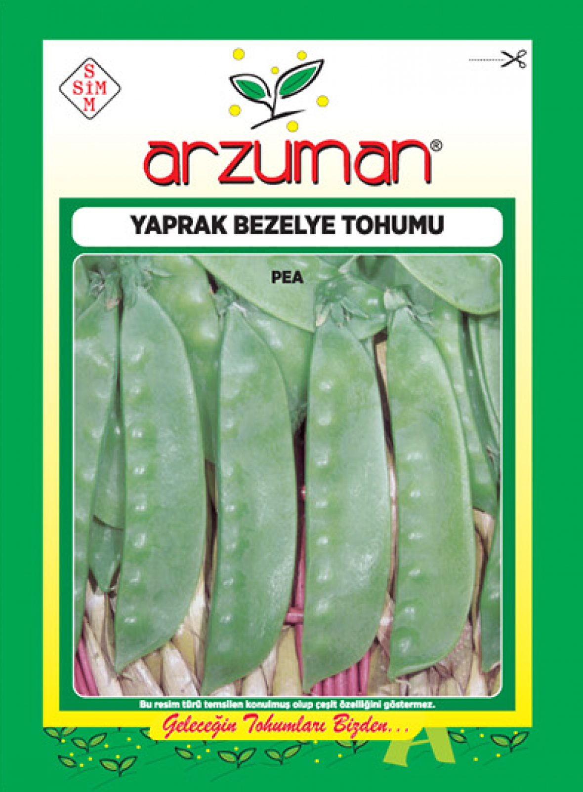 YAPRAK BEZELYE TOHUMU 25 GR