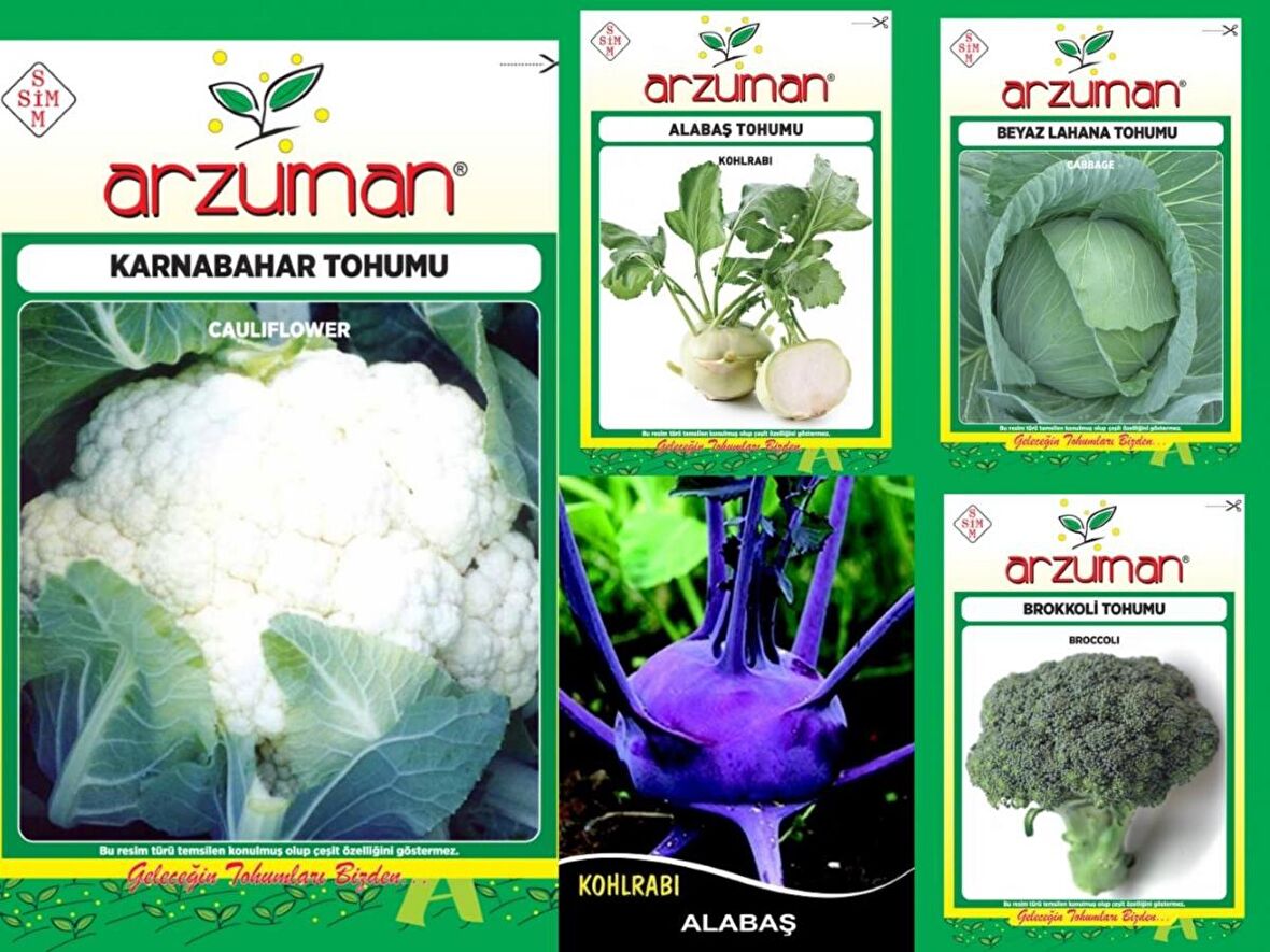 MOR ALABAŞ-BEYAZ ALABAŞ-KARNABAHAR-BROKOLİ-BEYAZ LAHANA 5'Lİ TOHUM SETİ