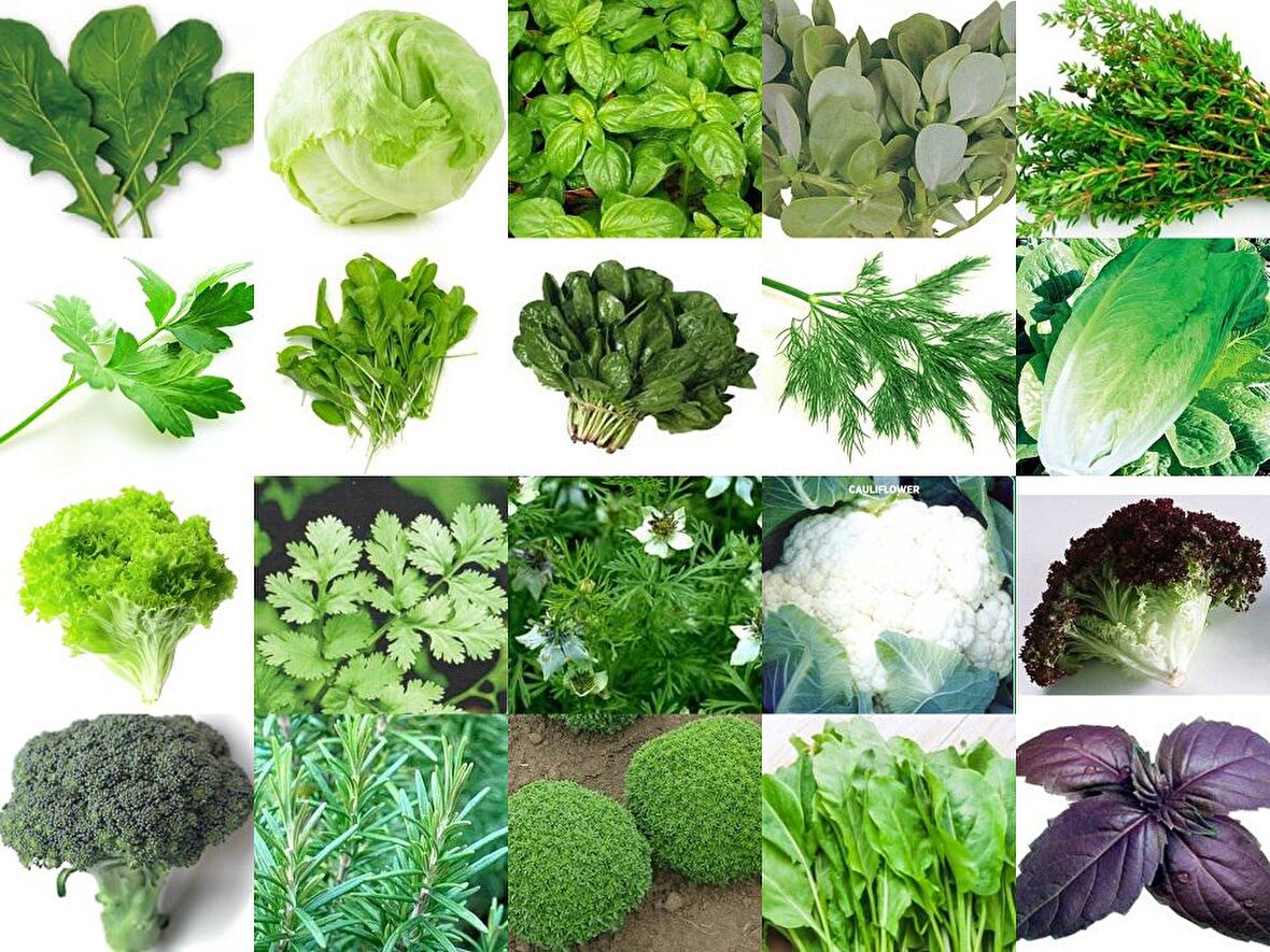 YERLİ 20 ÇEŞİT TOHUM SETİ-3 ORT 1700 AD TOHUM