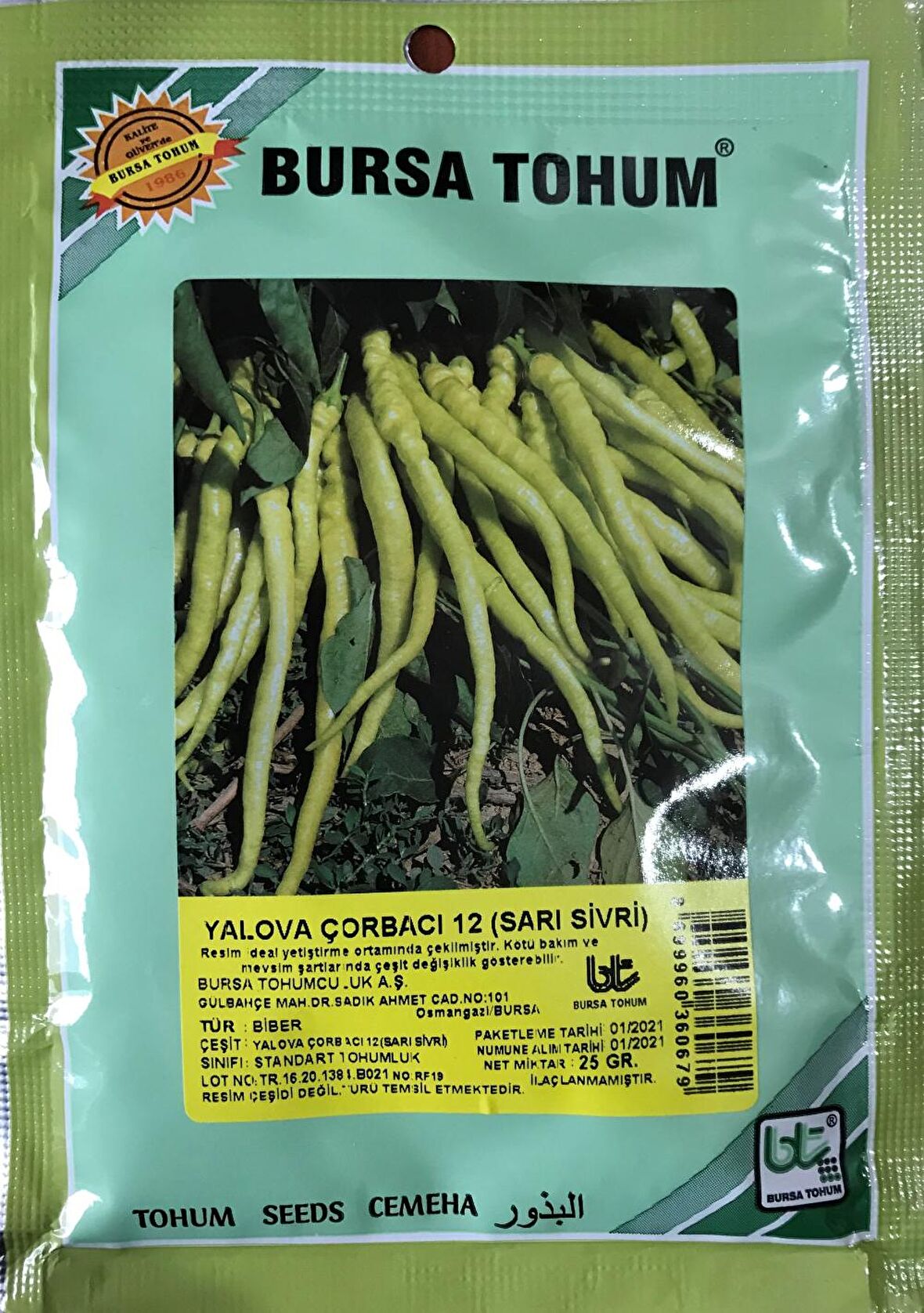 BİBER TOHUMU YALOVA ÇORBACI 12 (SARI SİVRİ) 25 GR ORT 3000 AD