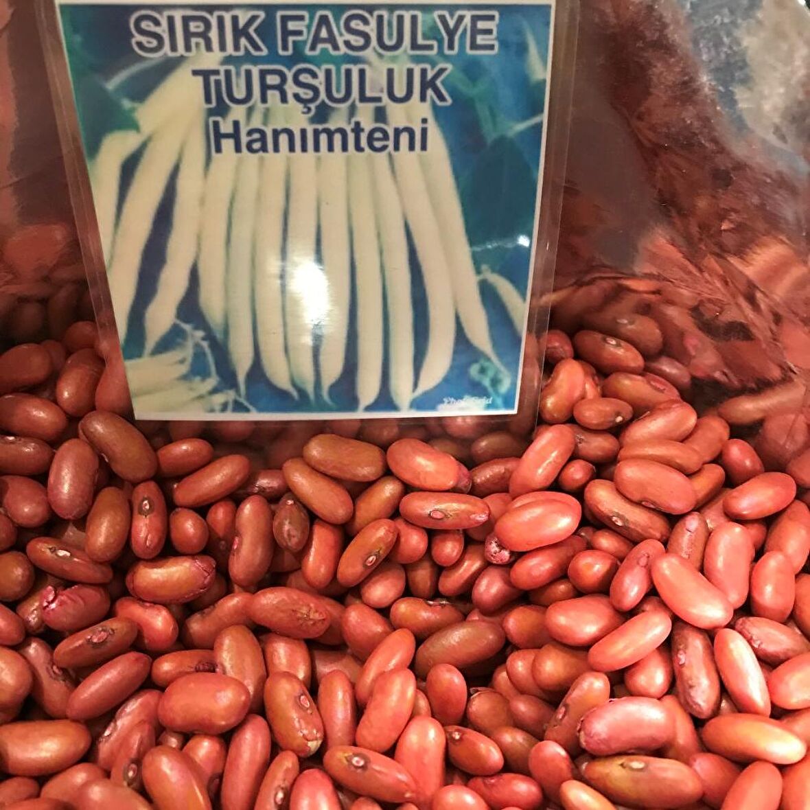 YERLİ SIRIK TURŞULUK FASULYE TOHUMU 100 GR (HANIMTENİ)