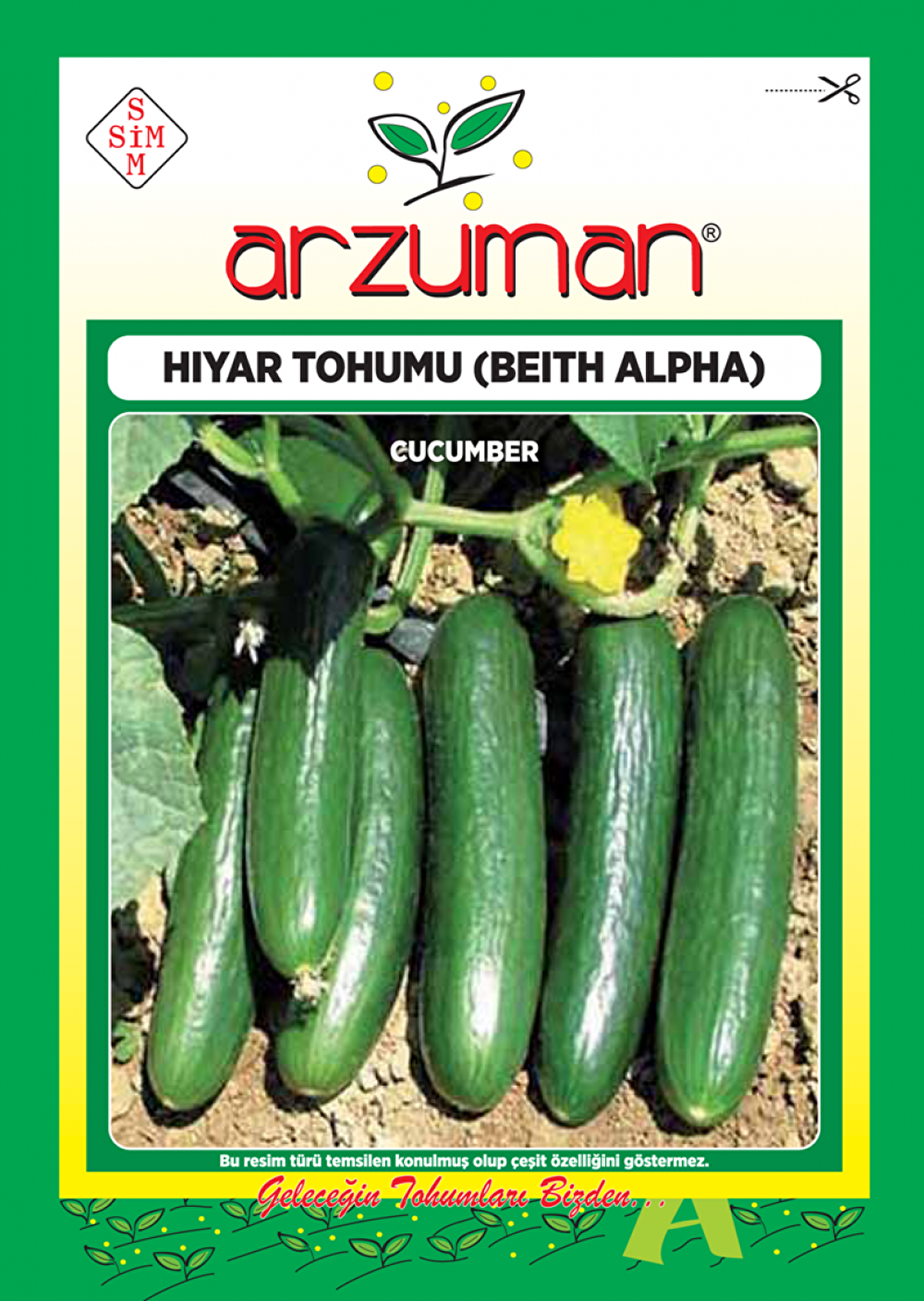 BEİTH ALPHA SALATALIK TOHUMU 10 GR ORT 300 AD TOHUM