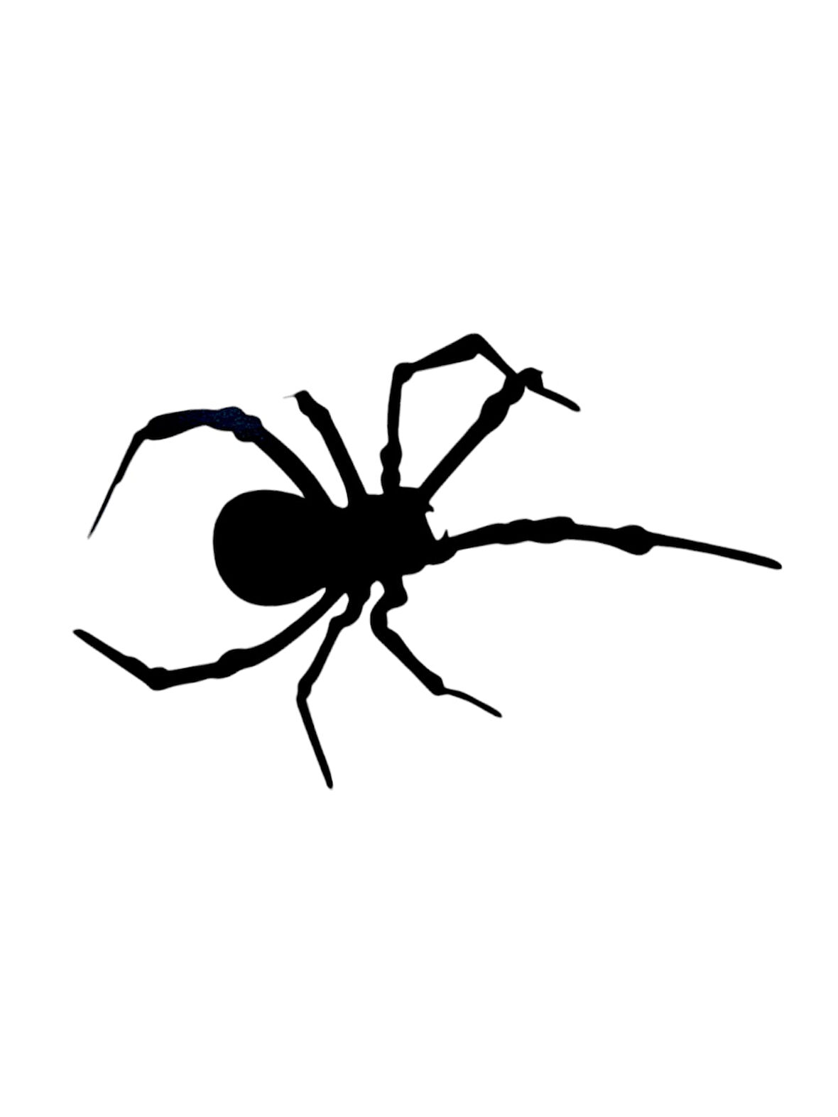 Örümcek Desenli Oto Sticker Siyah 15x8cm