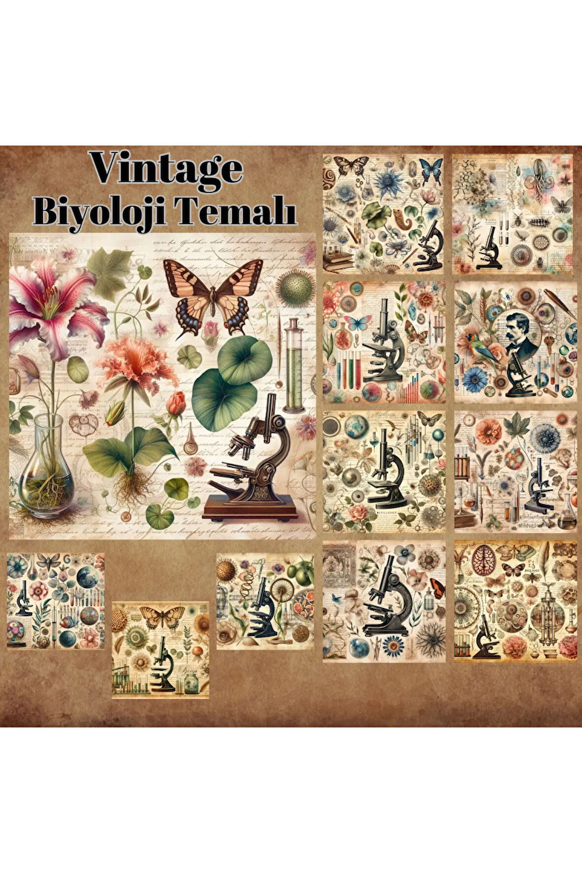 Biyoloji Temalı Kolaj Vintage 12 Adet Scrapbook Bullet Journal Mat Planlayıcı Sticker Etiket Seti