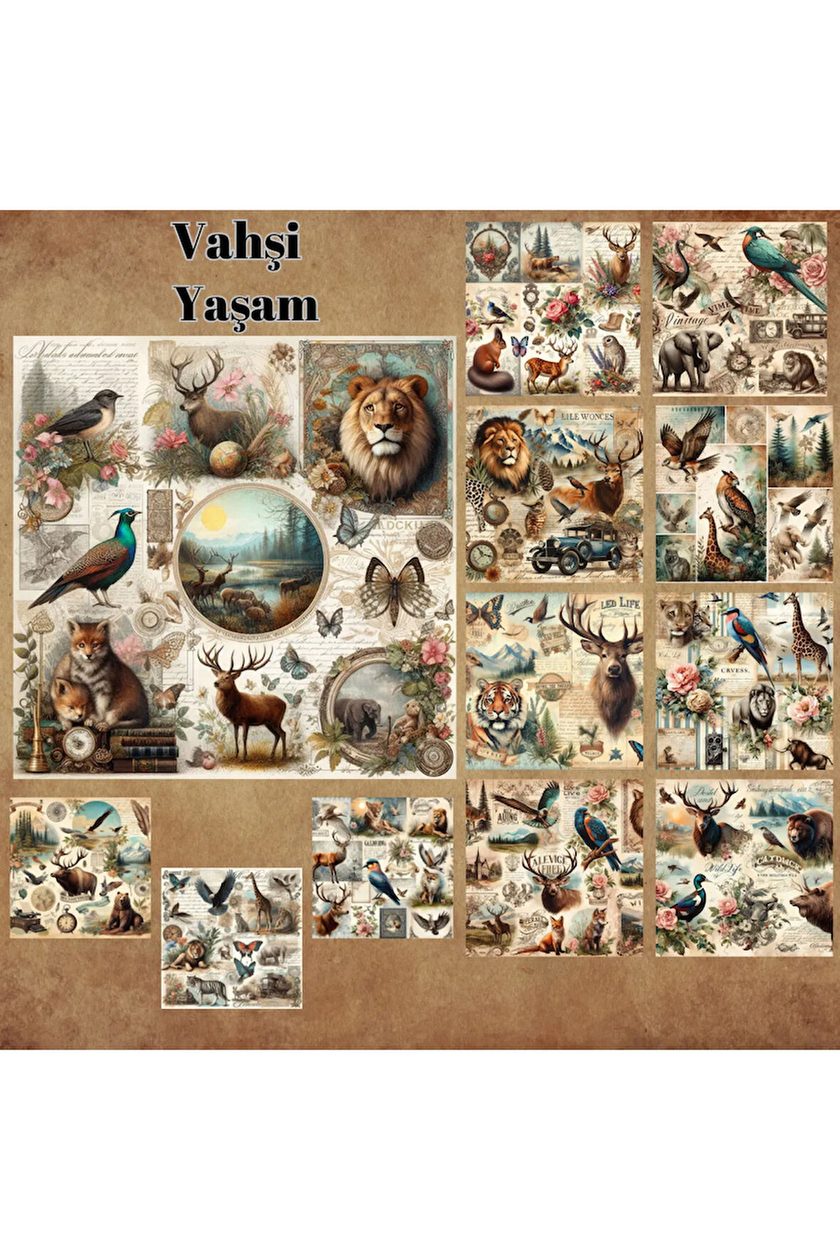 Vahşi Yaşam Temalı Vintage 12 Adet Scrapbook Bullet Journal Mat Planlayıcı Sticker Etiket Seti