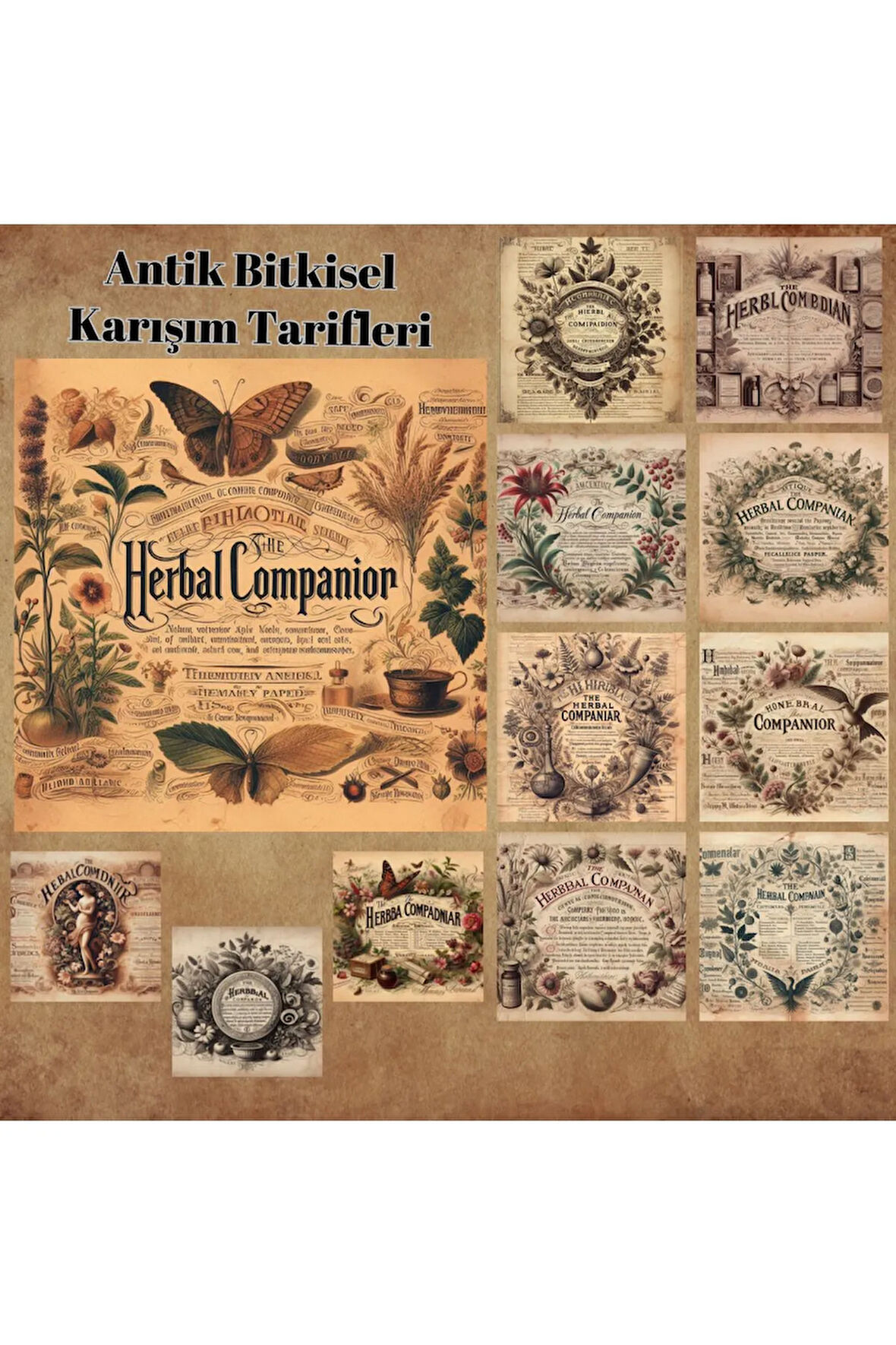 Antik Bitkisel Karışım Tarifleri Vintage 12 Adet Scrapbook Bullet Journal Mat Planlayıcı Sticker