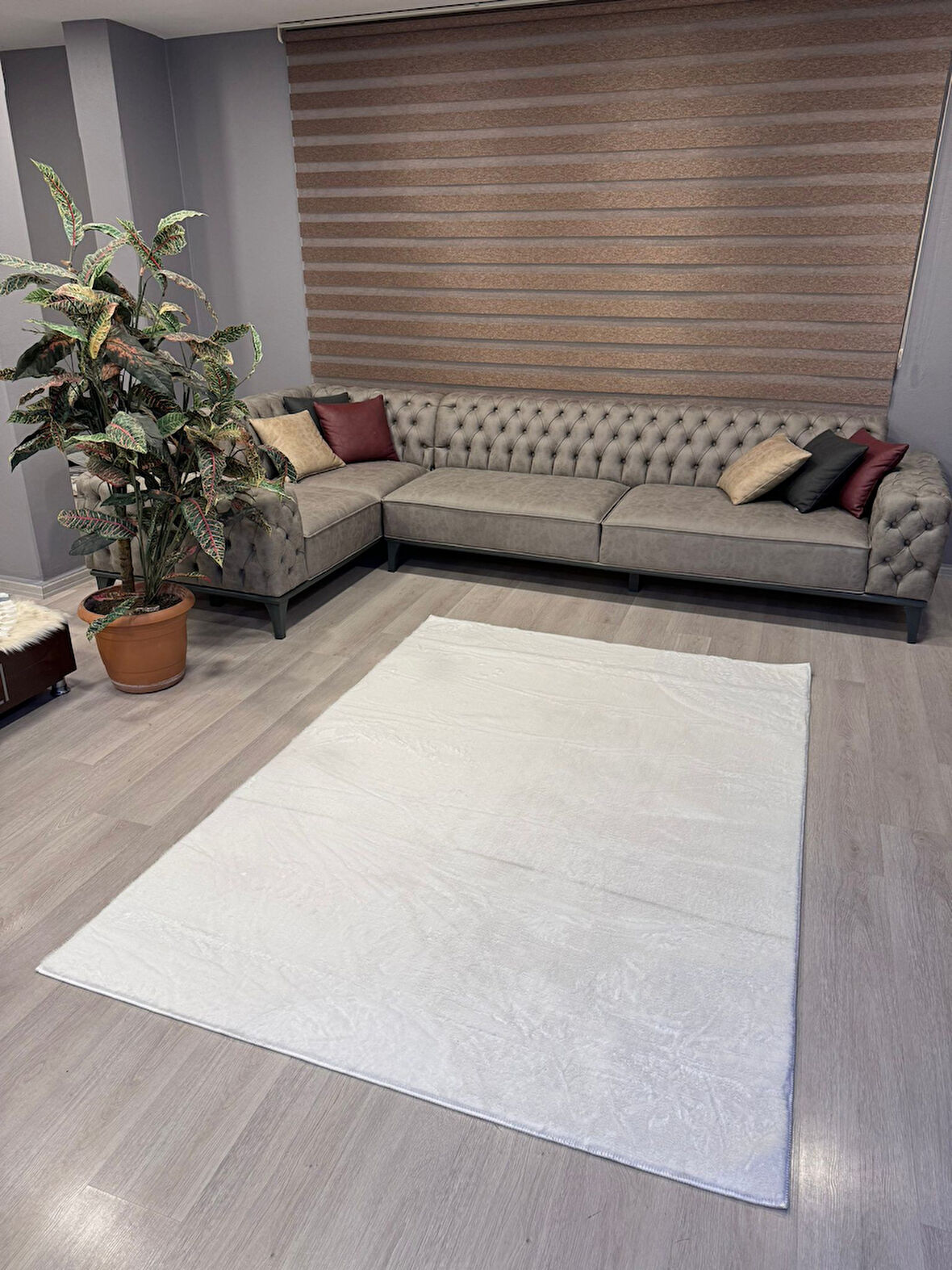Aries Home Tavşan Tüyü Beyaz Yumuşak Makinada Yıkanabilir Kaymaz Antialerjik Dekoratif Halı