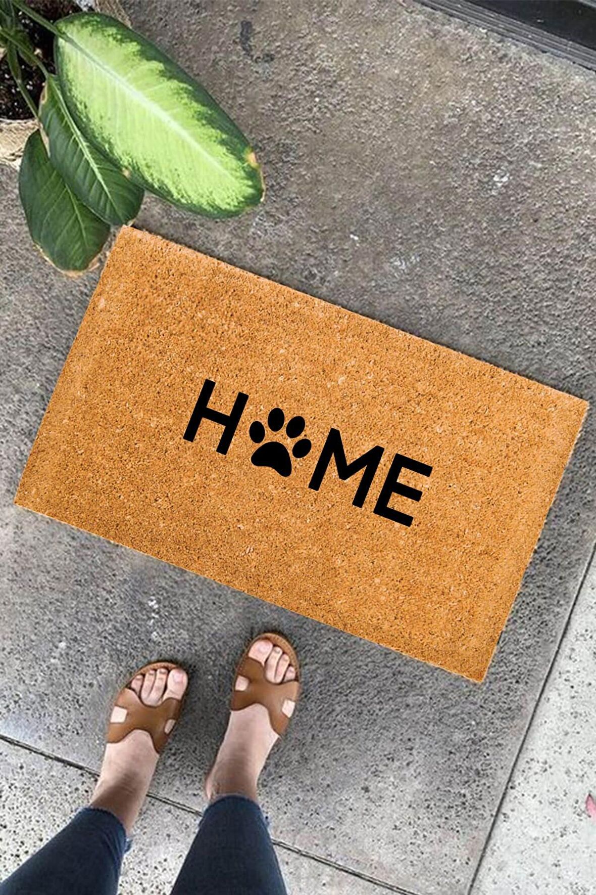 Home Paspas
