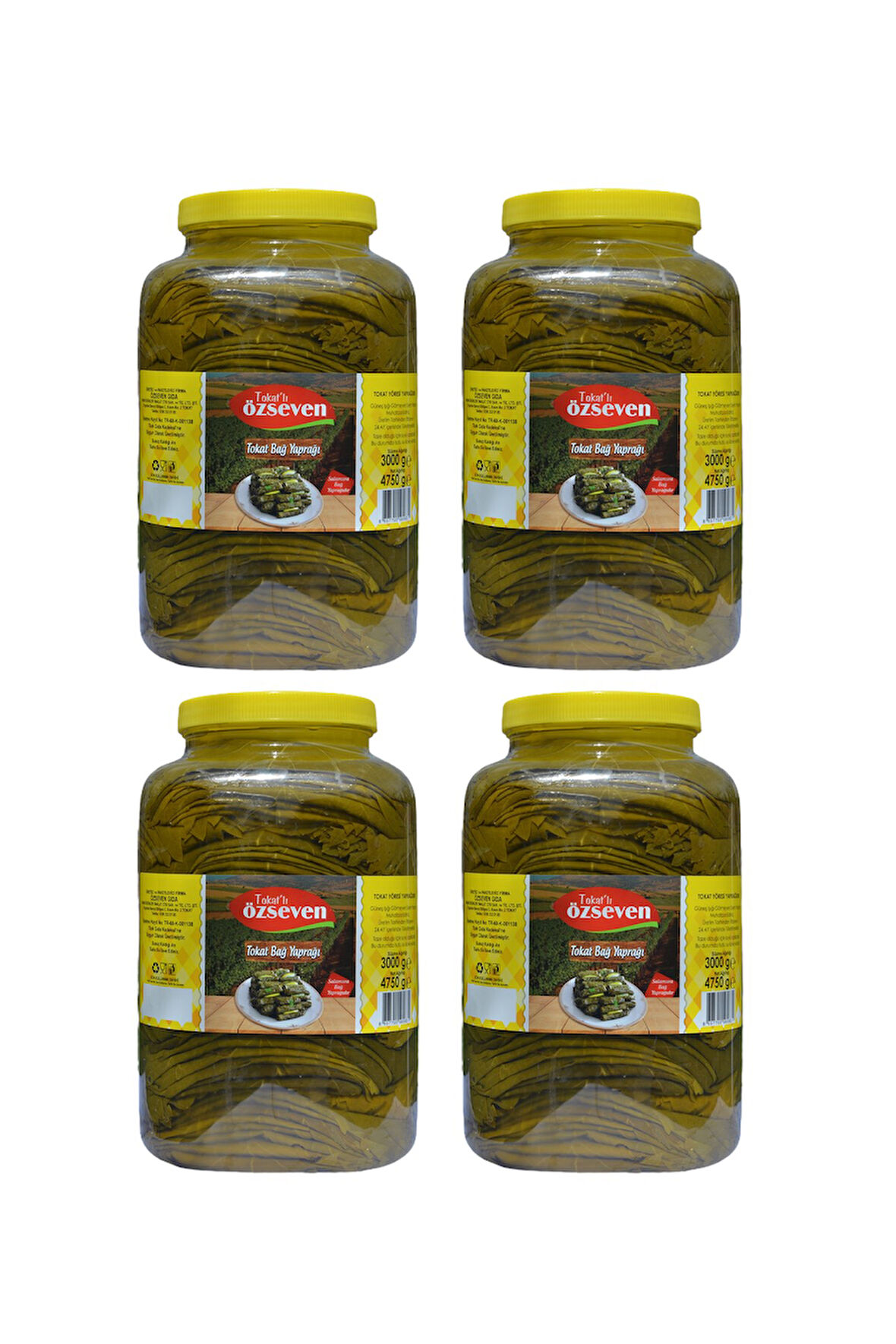 Tokat Bağ Yaprağı (4750gr x 4 Adet) 1 Koli