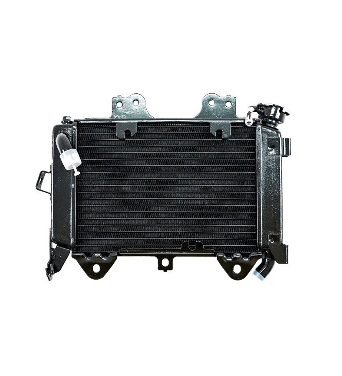 Bajaj Pulsar Ns 200 Radyatör Orjinal Tüm Yıllara Uygun ( Kapaksız ) _Supermoto