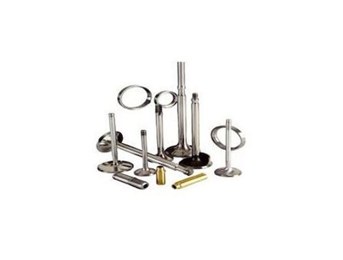 Supsan FT-07004 Subap Fıncanı Yağlı 16 Fıncan Doblo Palio Albea Palio 1.2 16V-04 46448011
