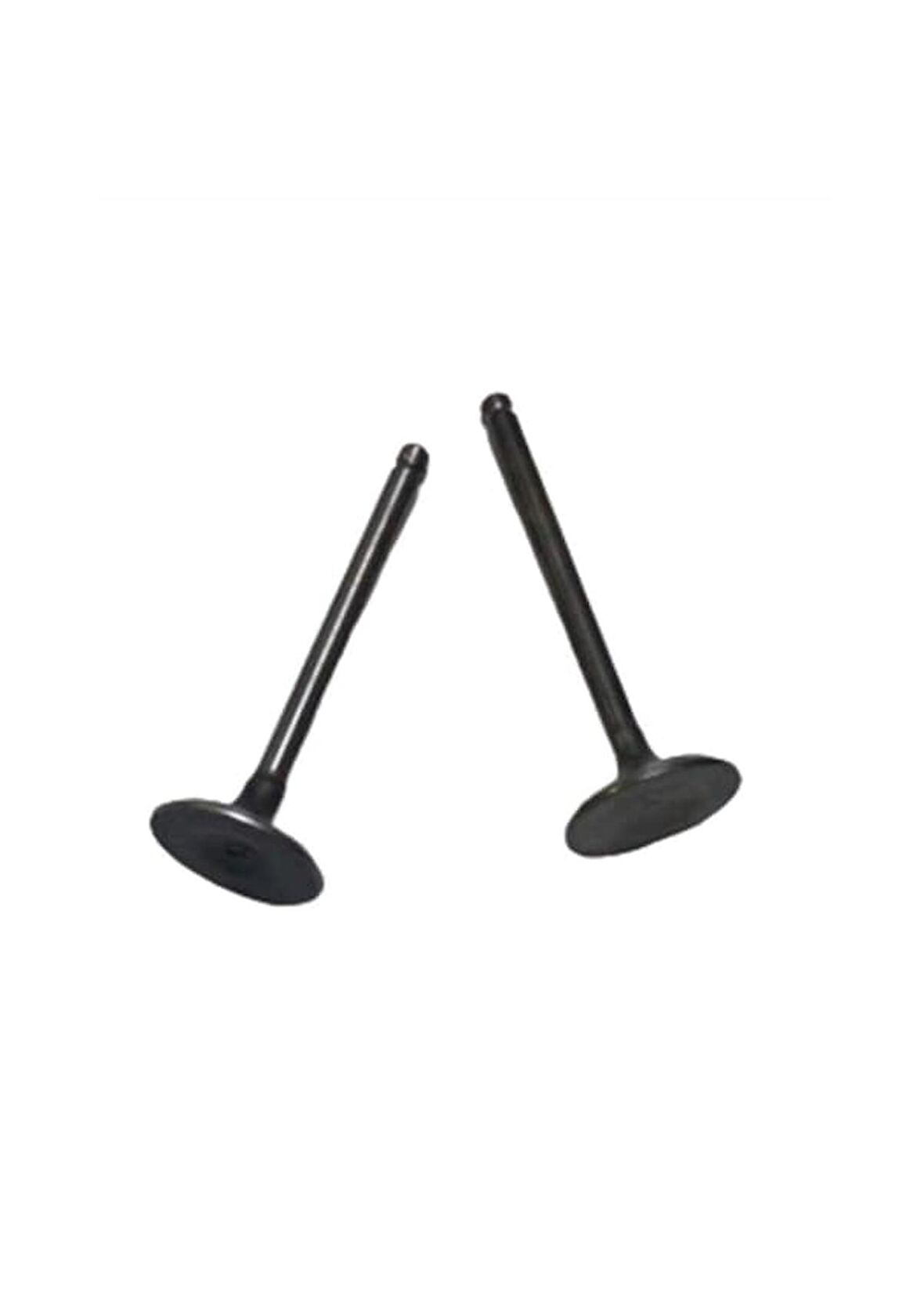 CRYPTON SİBOP TAKIM 