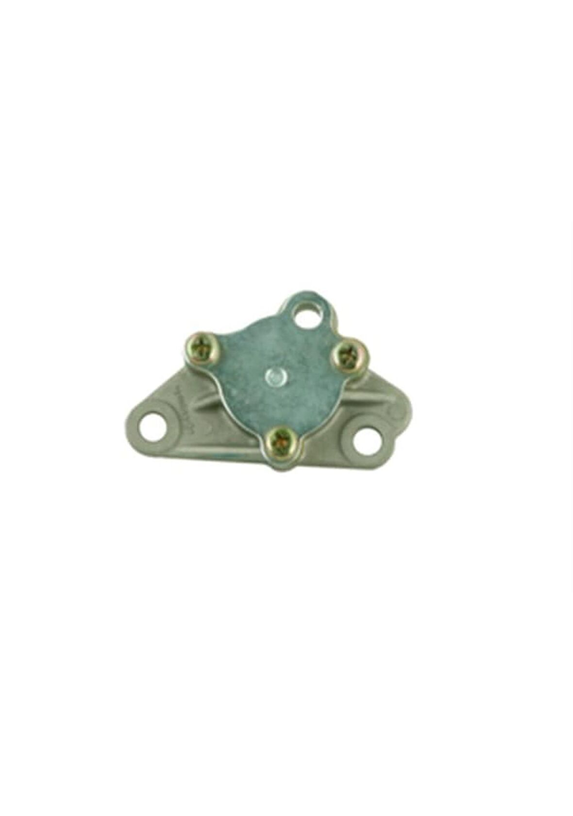 RAMZEY CUB YAĞ POMPASI