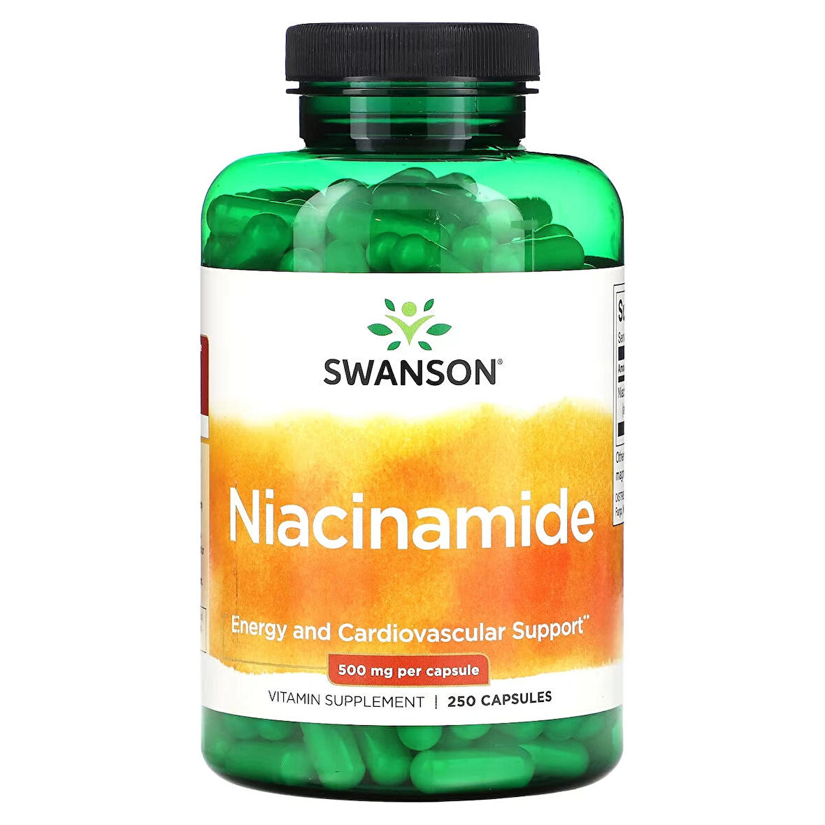 Swanson, Niacinamide, 500 mg, 250 Capsules - Non flush (Cilt desteği)