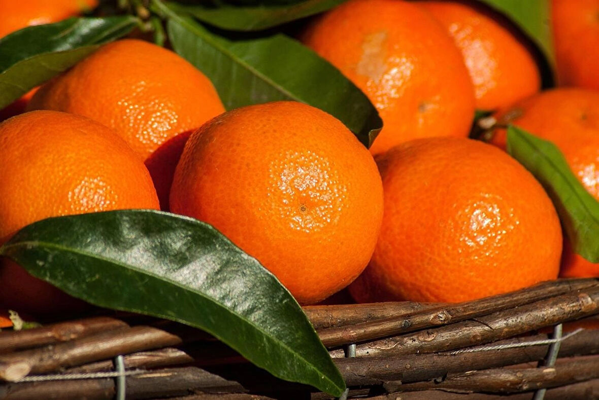 Satsuma Mandalina 10 kg kasa %100 Yerli Üretim
